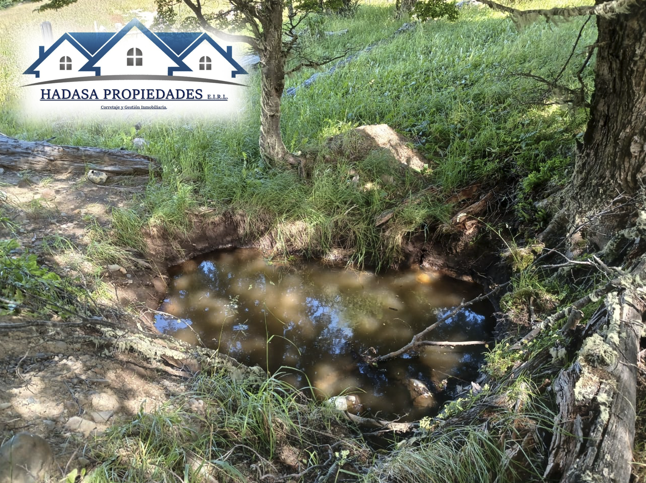 Captura de pantalla 2025-12-11 a la(s) 4.46.23 p.m..png