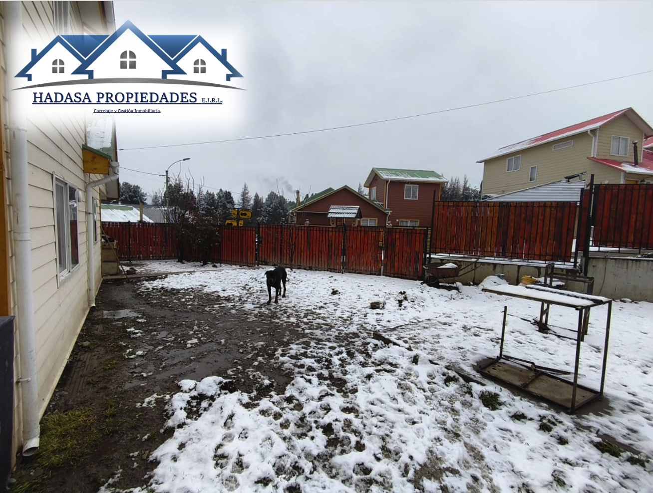 Captura de pantalla 2025-08-04 a la(s) 12.03.12 p.m..png