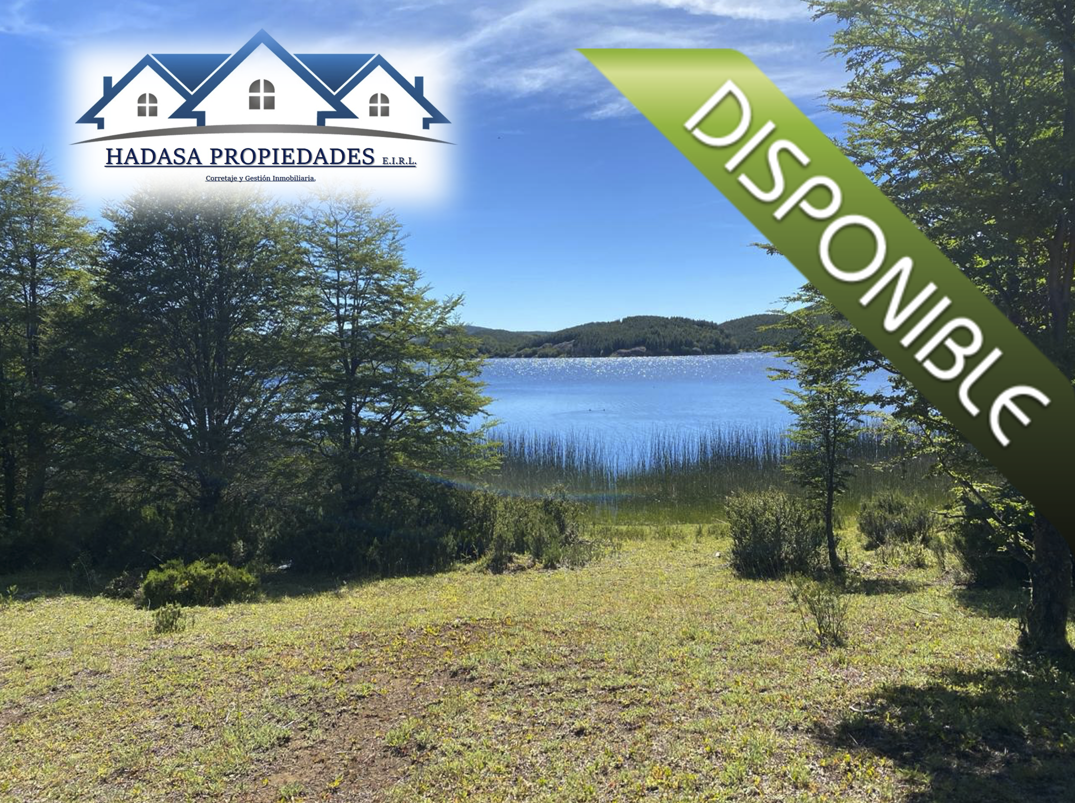 Captura de pantalla 2025-11-27 a la(s) 4.13.50 p.m..png