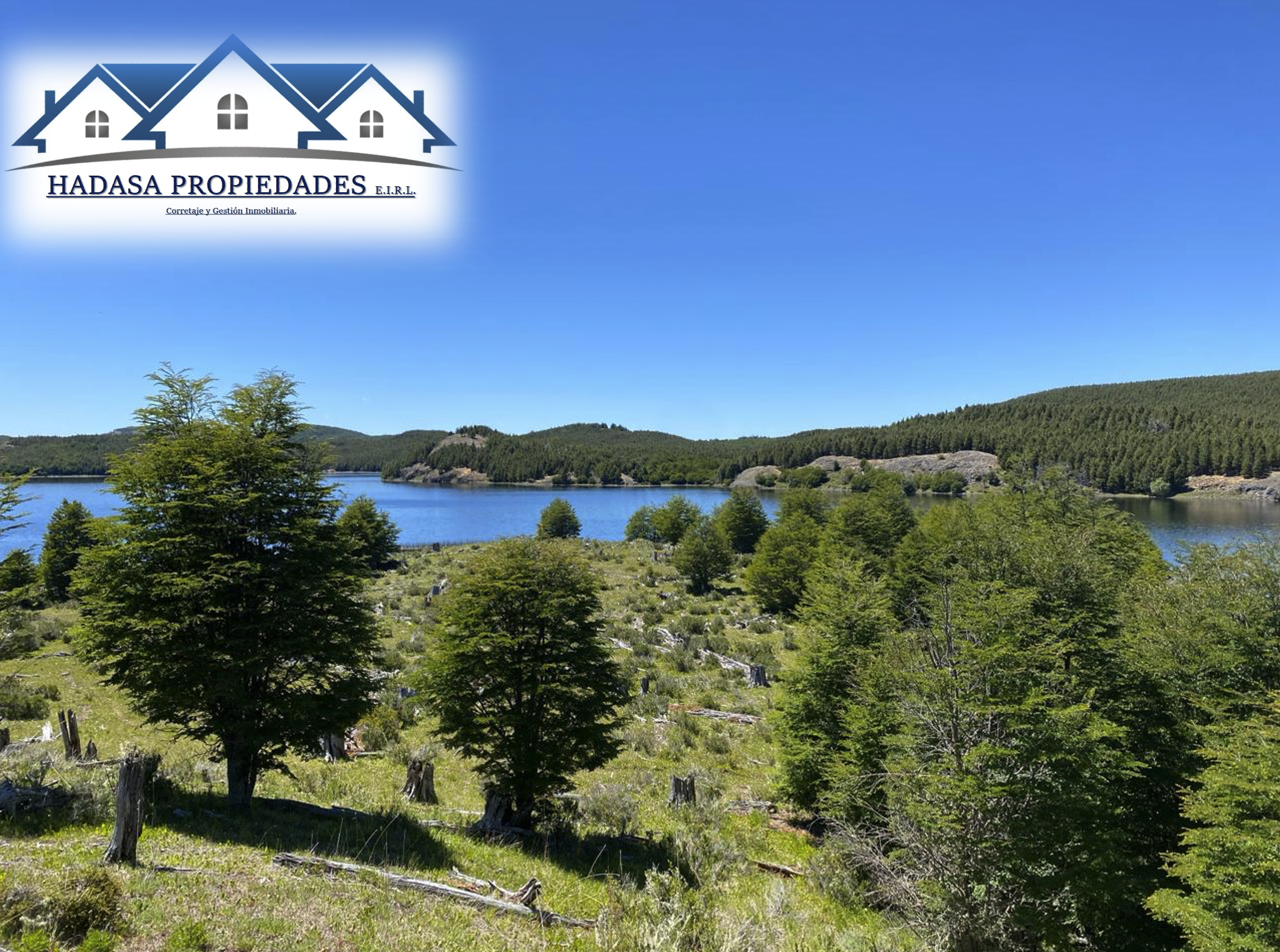 Captura de pantalla 2025-11-27 a la(s) 4.14.42 p.m..png