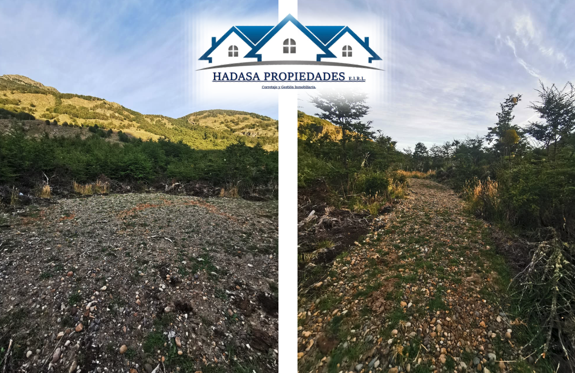 Captura de pantalla 2026-01-25 a la(s) 00.09.21 1.png