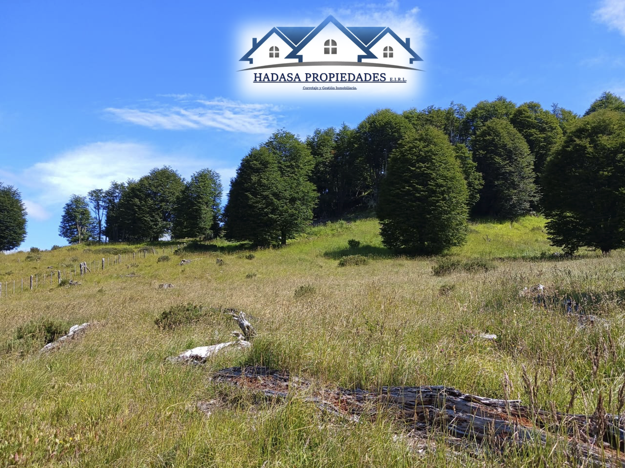 Captura de pantalla 2025-12-11 a la(s) 4.46.08 p.m..png