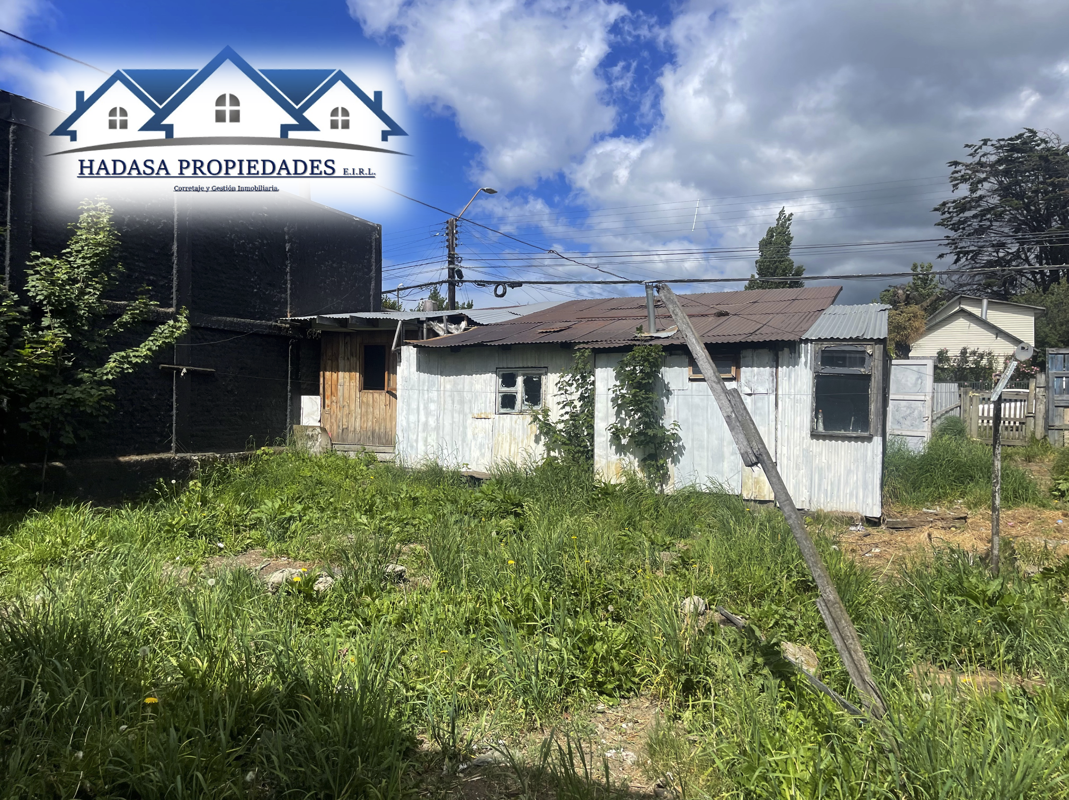 Captura de pantalla 2025-12-03 a la(s) 12.15.55 a.m..png