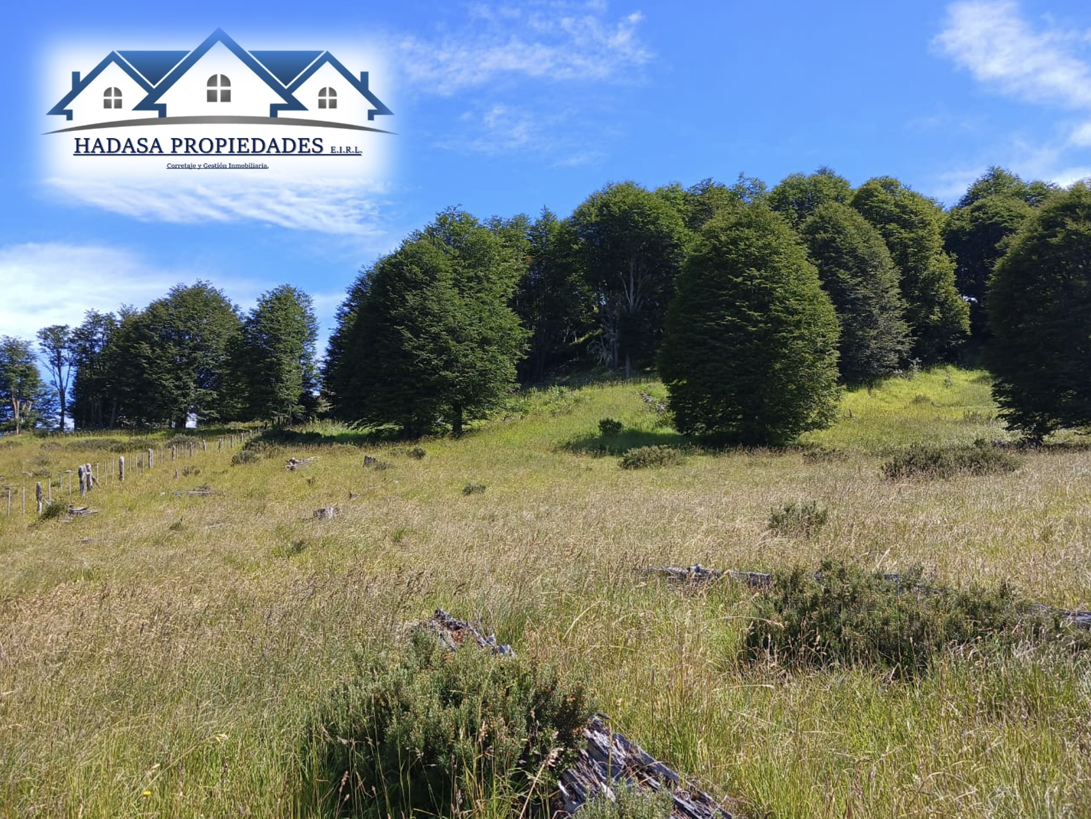 Captura de pantalla 2025-12-11 a la(s) 4.45.34 p.m..png