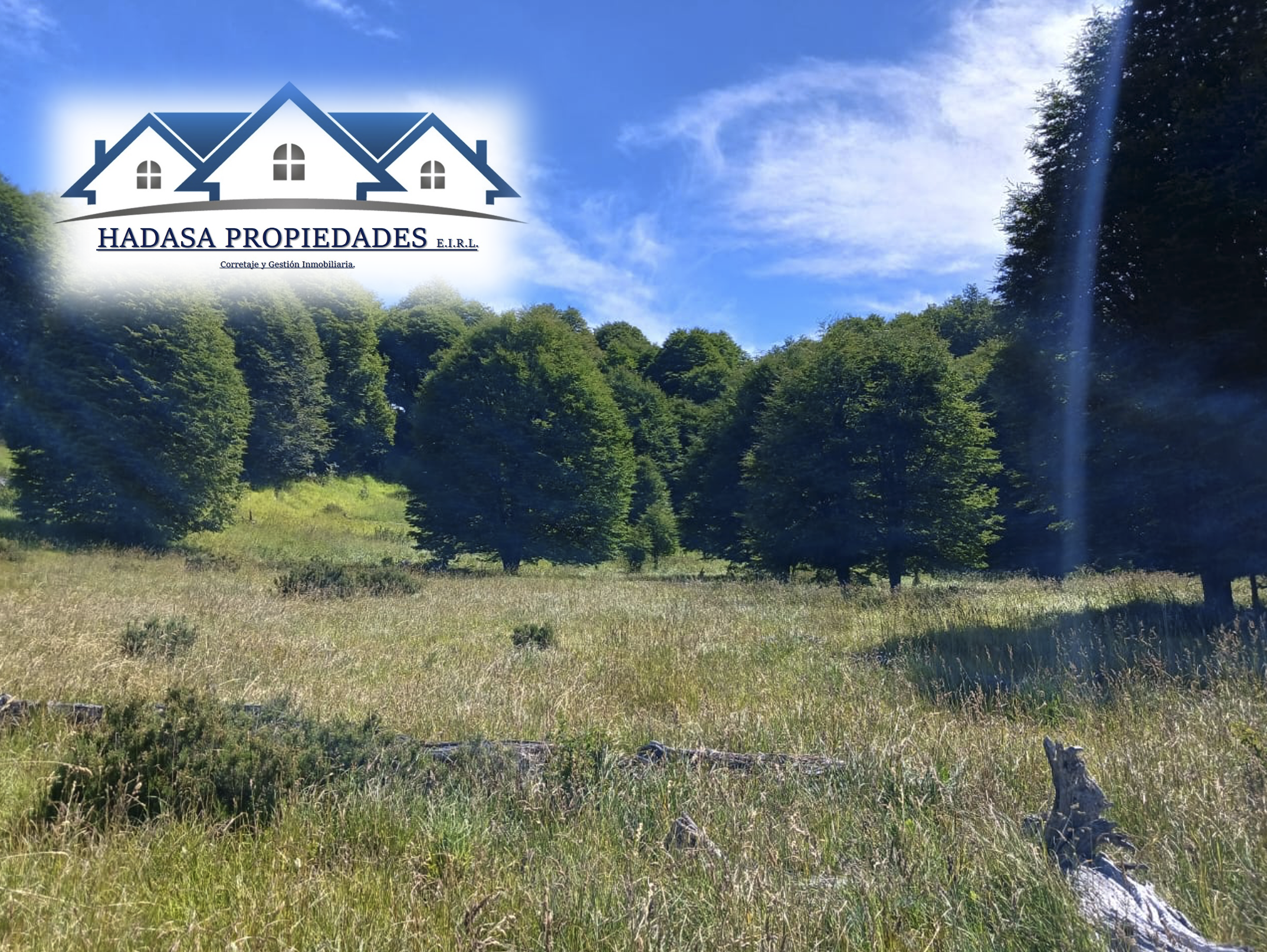 Captura de pantalla 2025-12-11 a la(s) 4.45.51 p.m..png