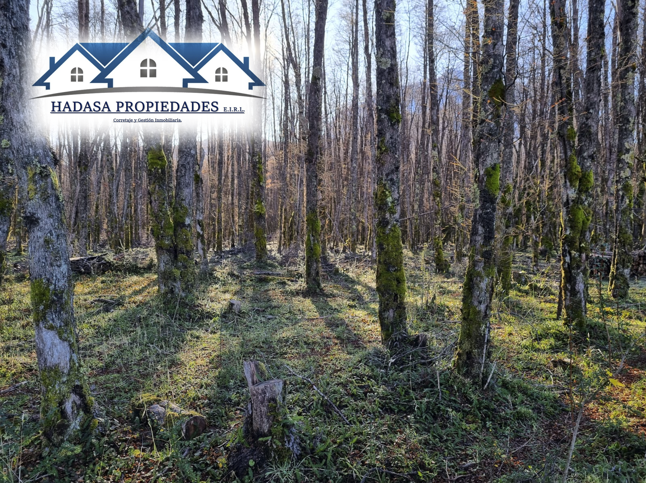 Captura de pantalla 2025-11-27 a la(s) 4.35.10 p.m..png