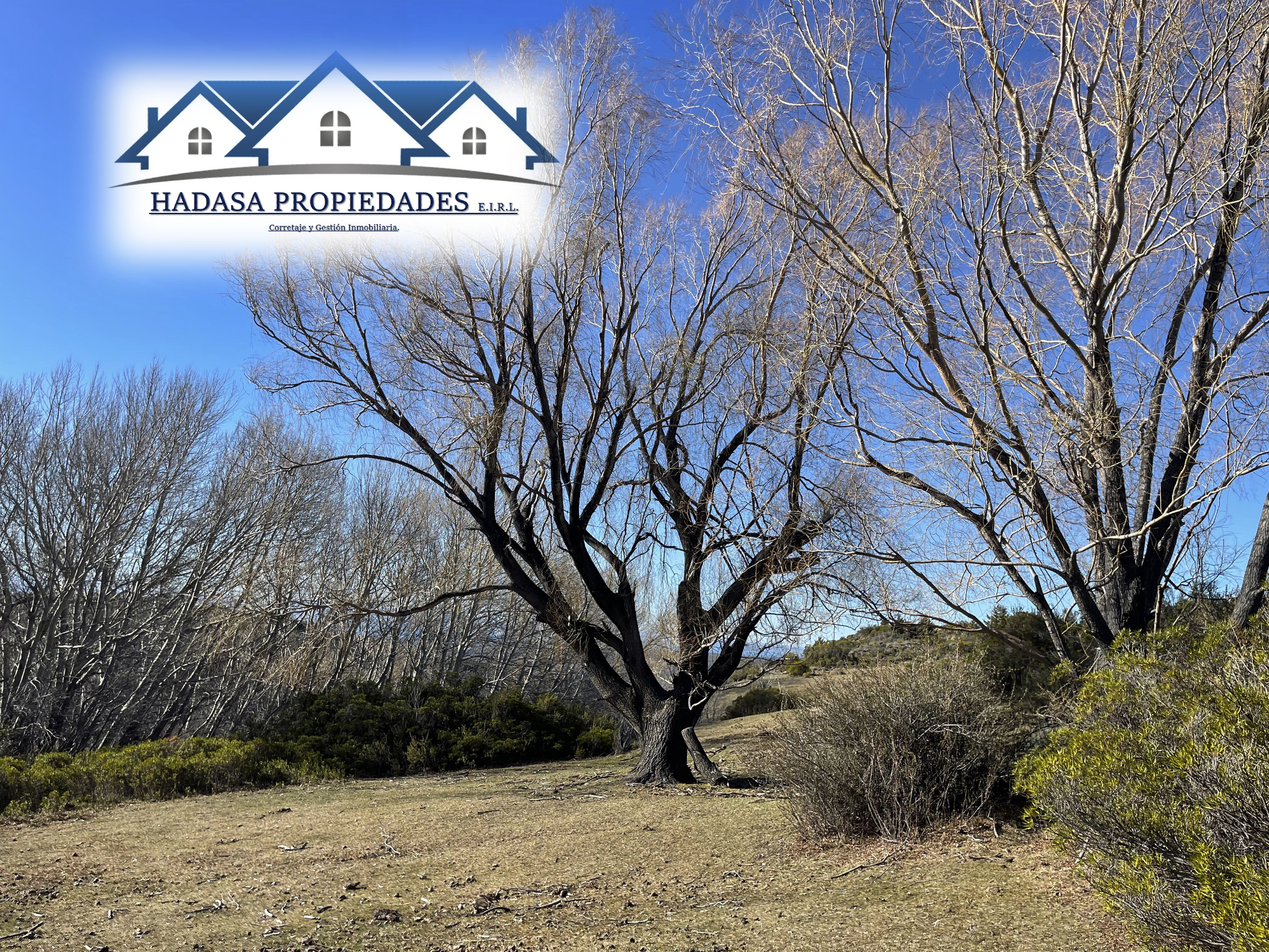 Captura de pantalla 2025-11-27 a la(s) 5.08.54 p.m..png