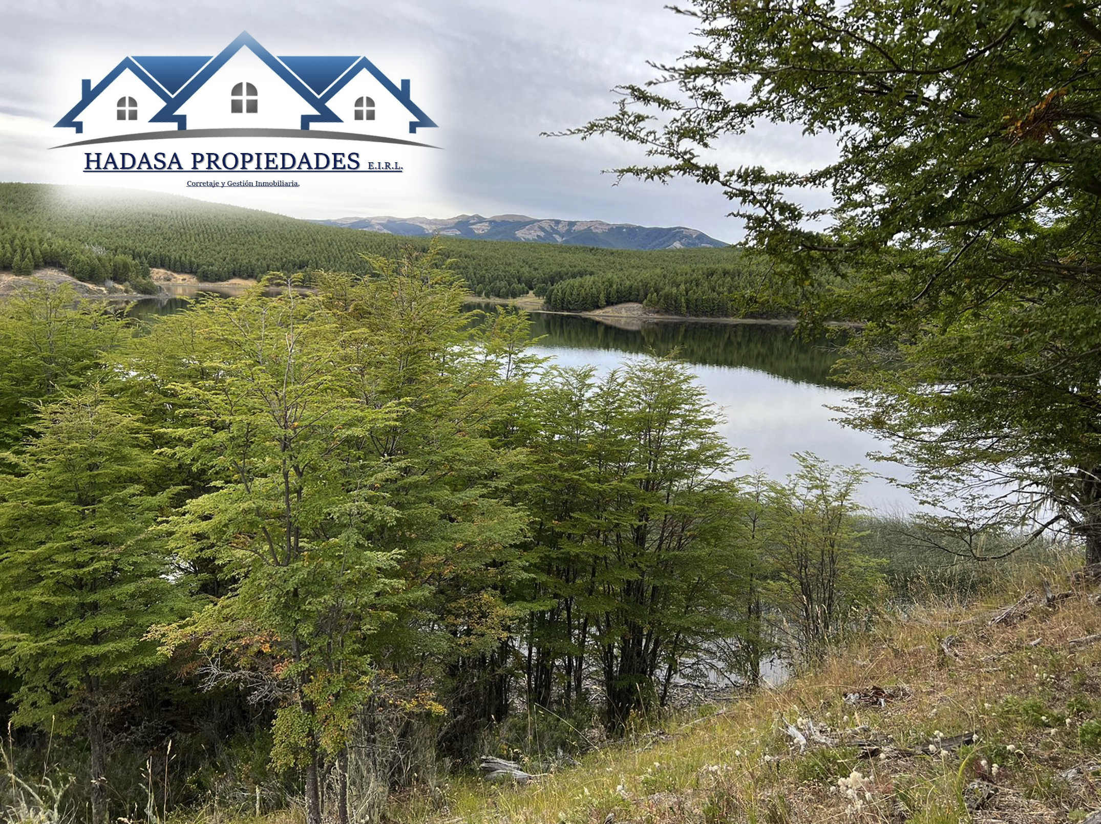 Captura de pantalla 2025-11-27 a la(s) 4.15.00 p.m..png