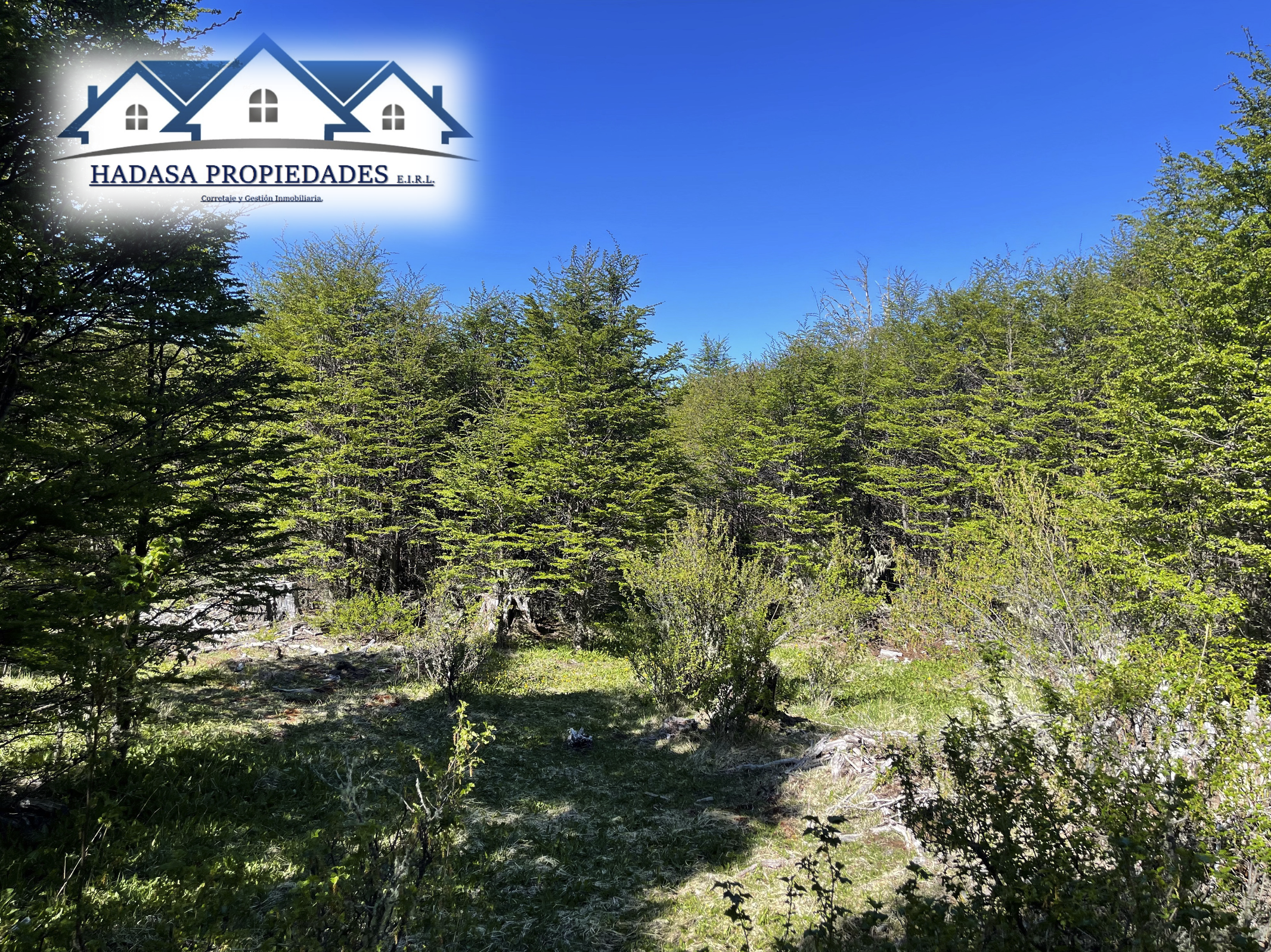 Captura de pantalla 2025-11-27 a la(s) 11.22.02 a.m..png