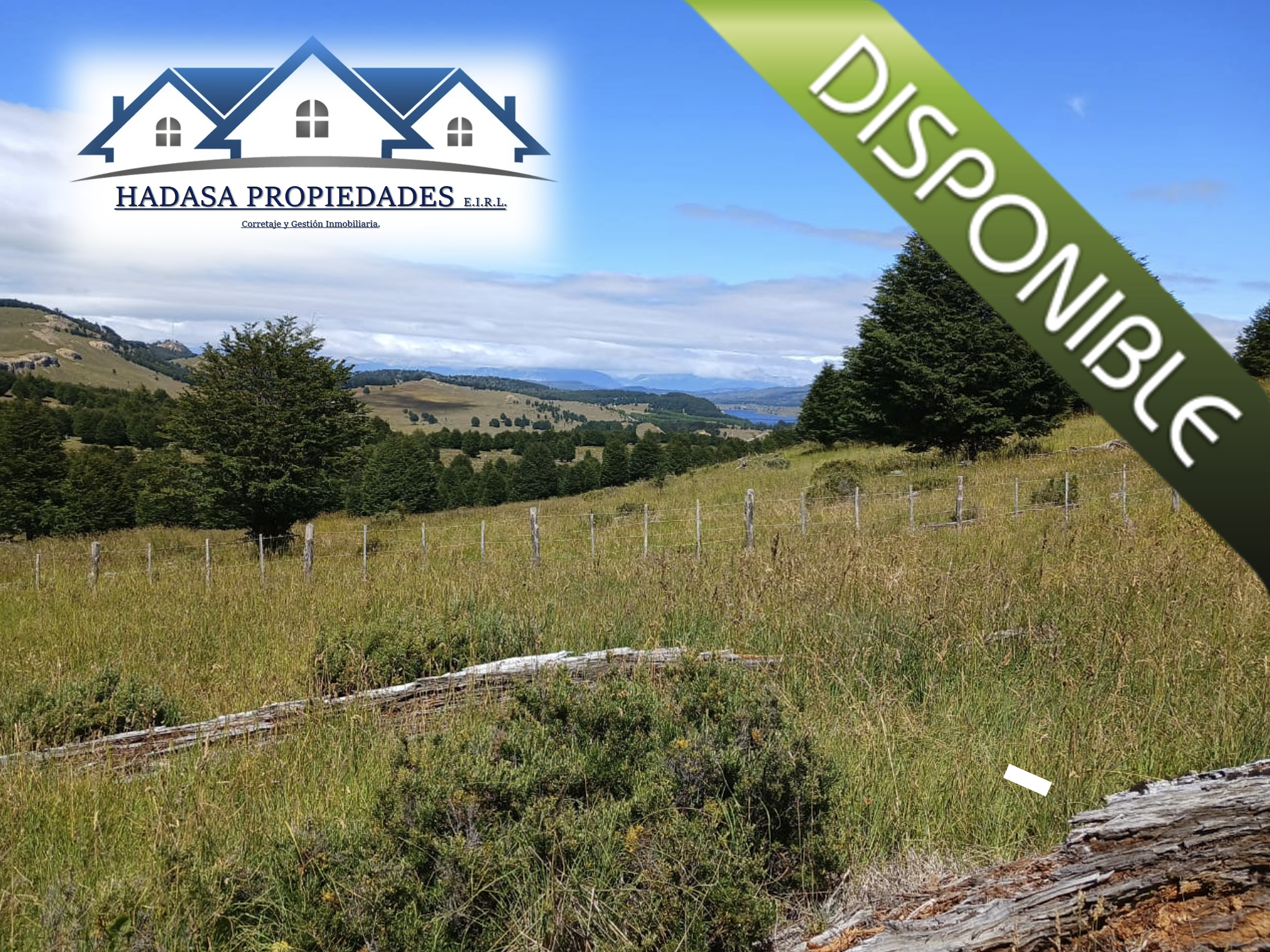 Captura de pantalla 2025-12-11 a la(s) 4.44.40 p.m..png