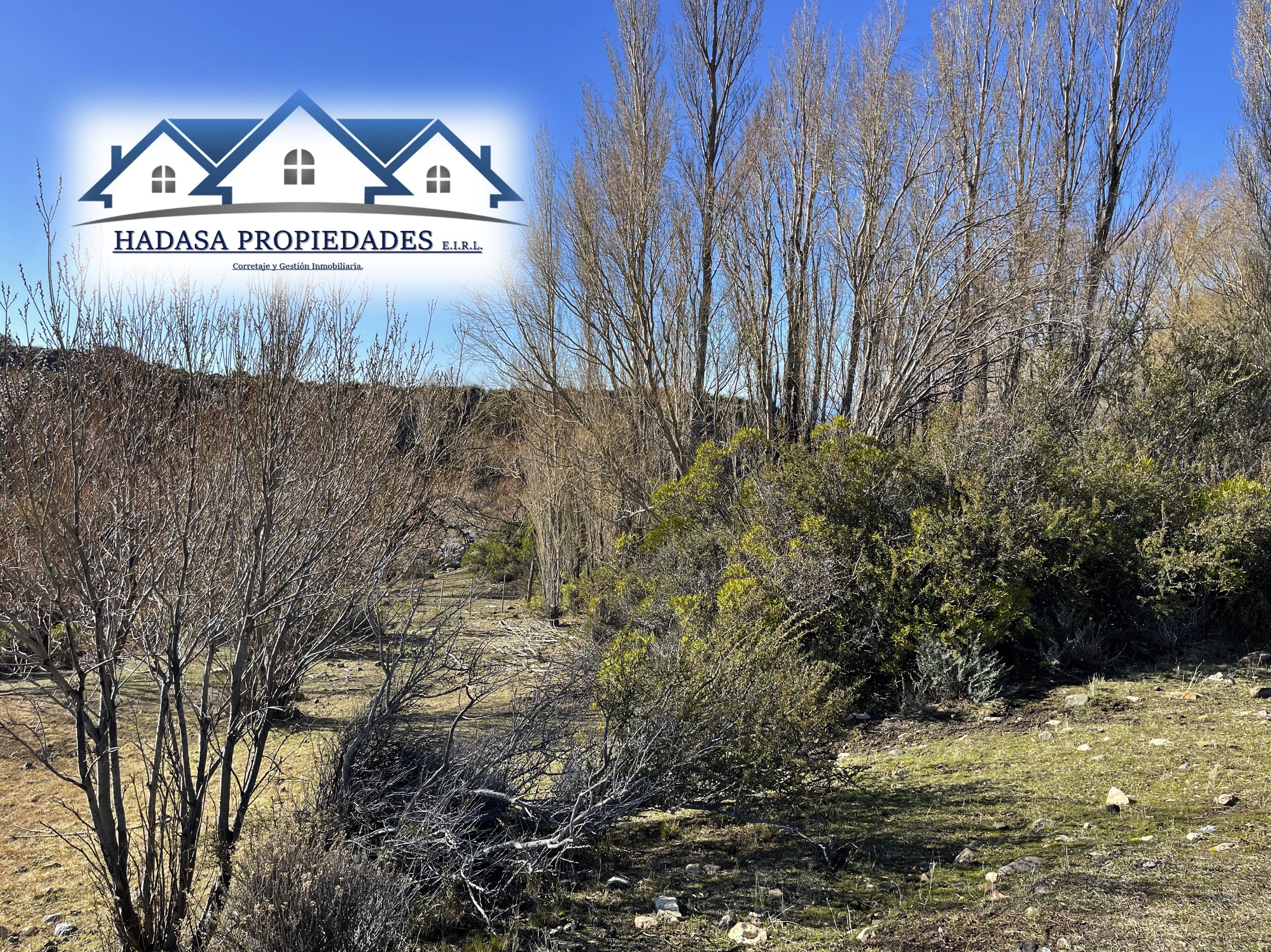 Captura de pantalla 2025-11-27 a la(s) 5.11.00 p.m..png