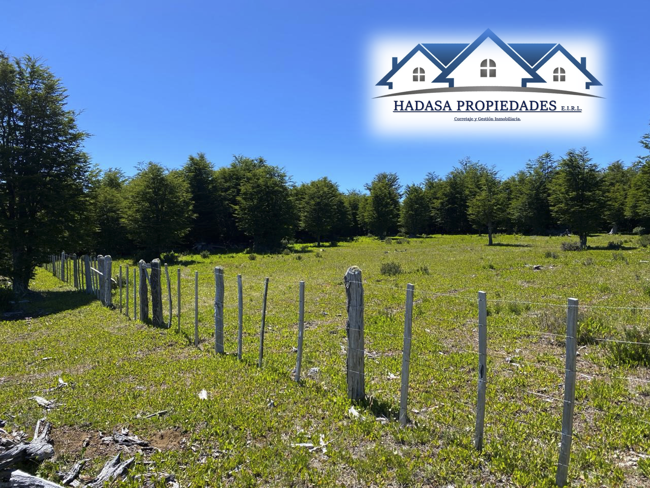 Captura de pantalla 2025-11-27 a la(s) 4.15.20 p.m..png