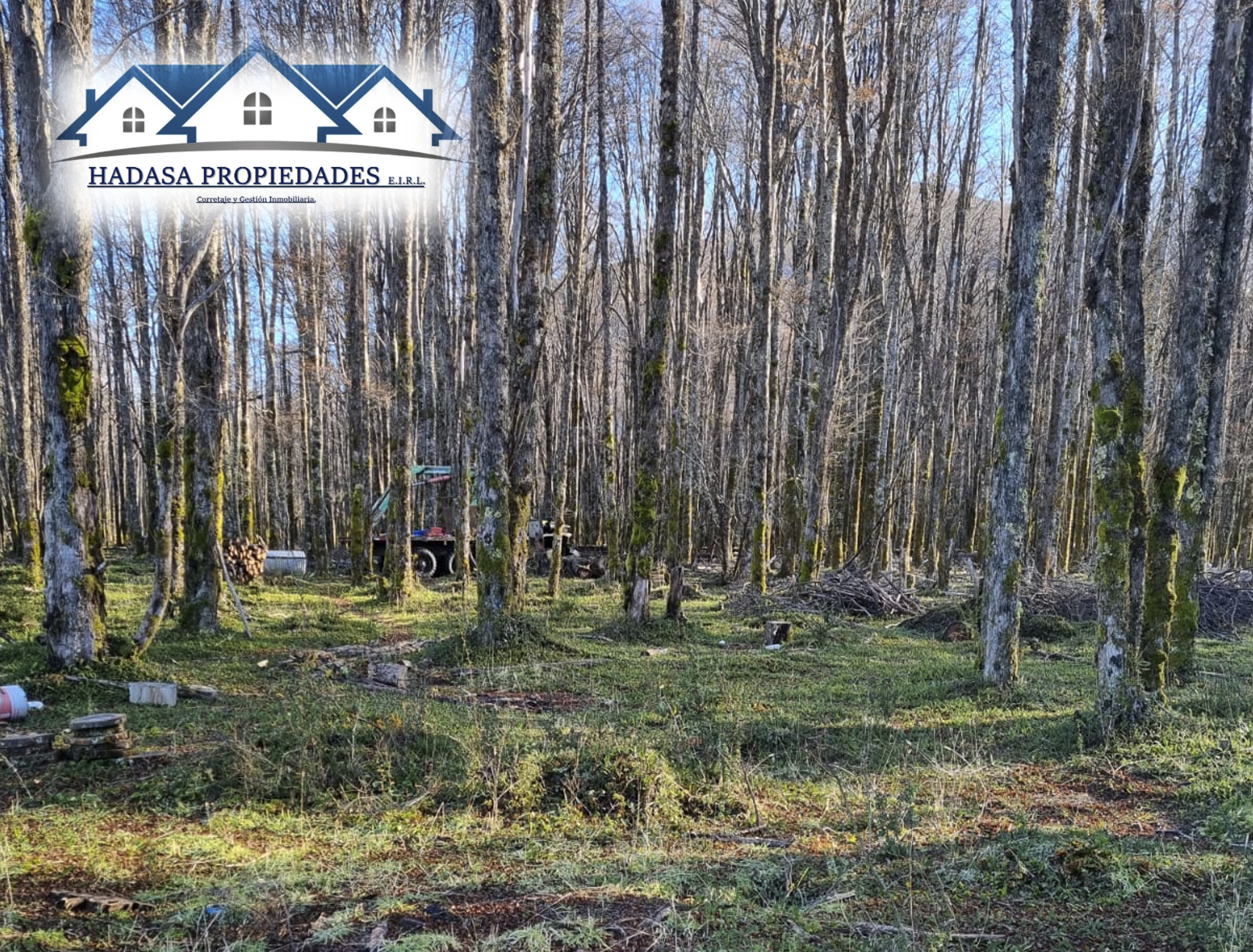 Captura de pantalla 2025-11-27 a la(s) 4.34.51 p.m..png