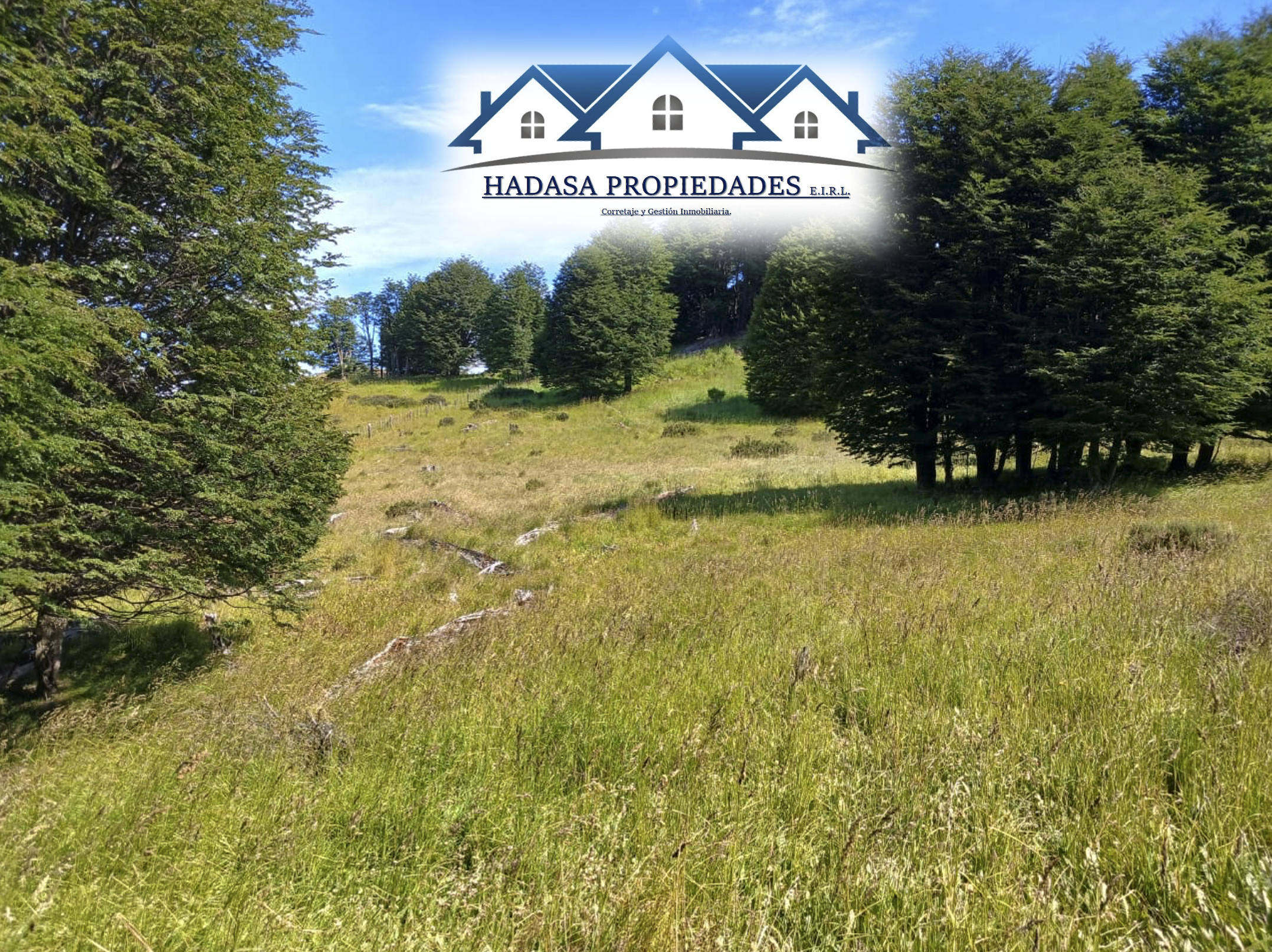 Captura de pantalla 2025-12-11 a la(s) 4.47.25 p.m..png