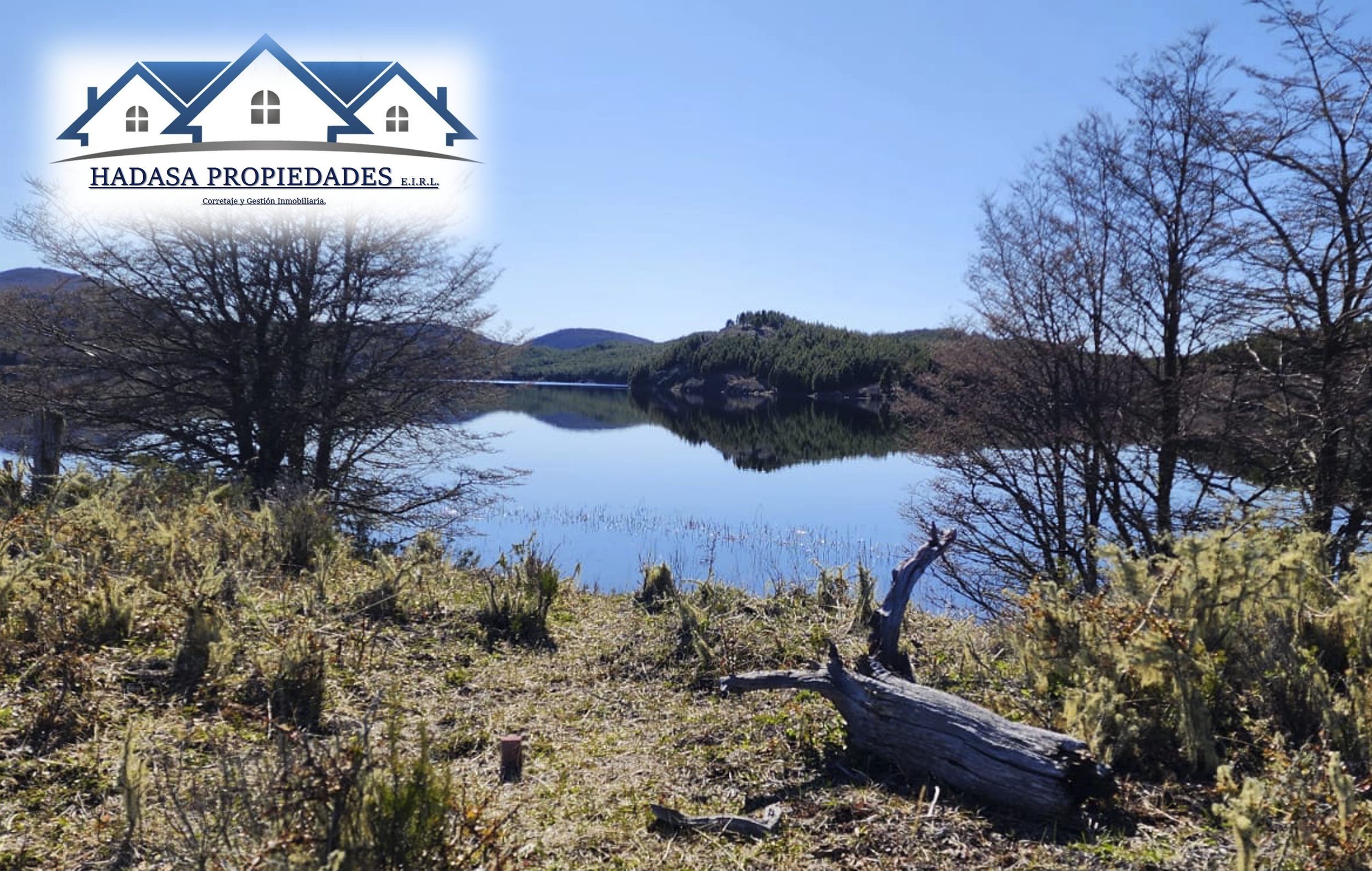 Captura de pantalla 2025-11-27 a la(s) 4.14.08 p.m..png