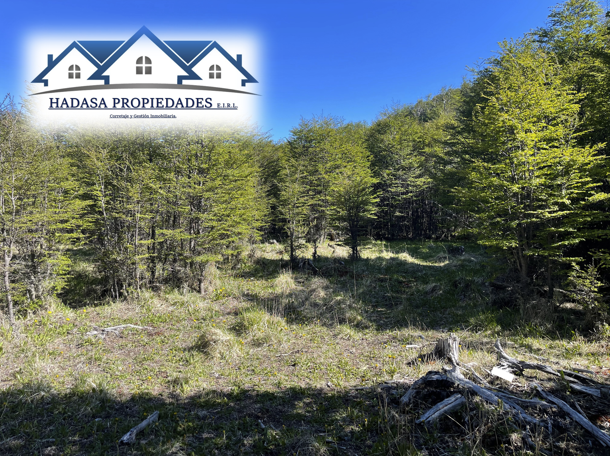 Captura de pantalla 2025-11-27 a la(s) 11.20.51 a.m..png