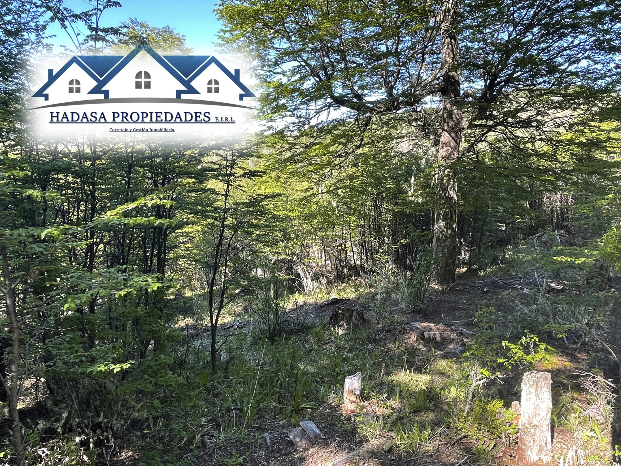 Captura de pantalla 2025-11-27 a la(s) 11.21.06 a.m..png