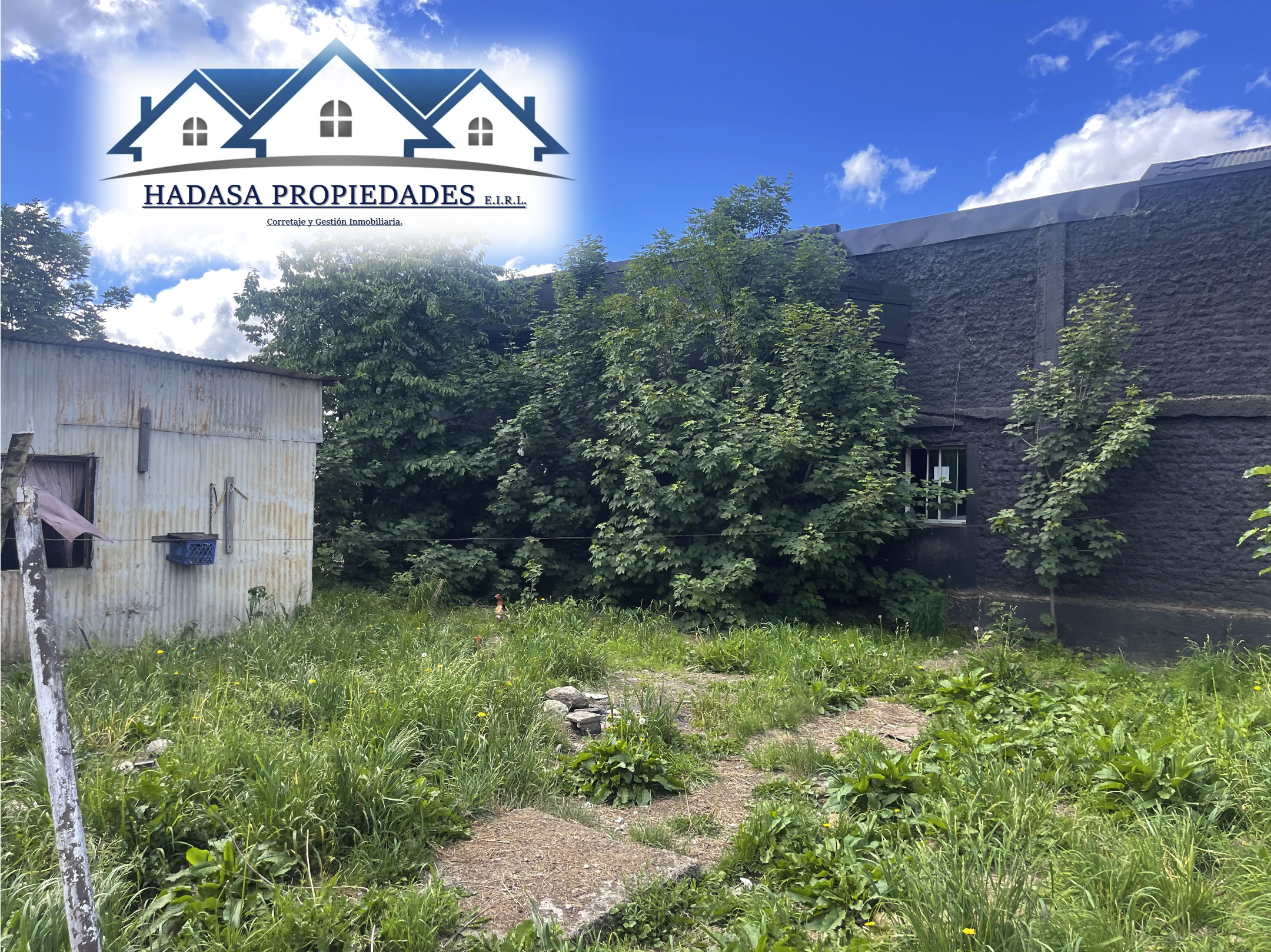 Captura de pantalla 2025-12-03 a la(s) 12.17.44 a.m..png