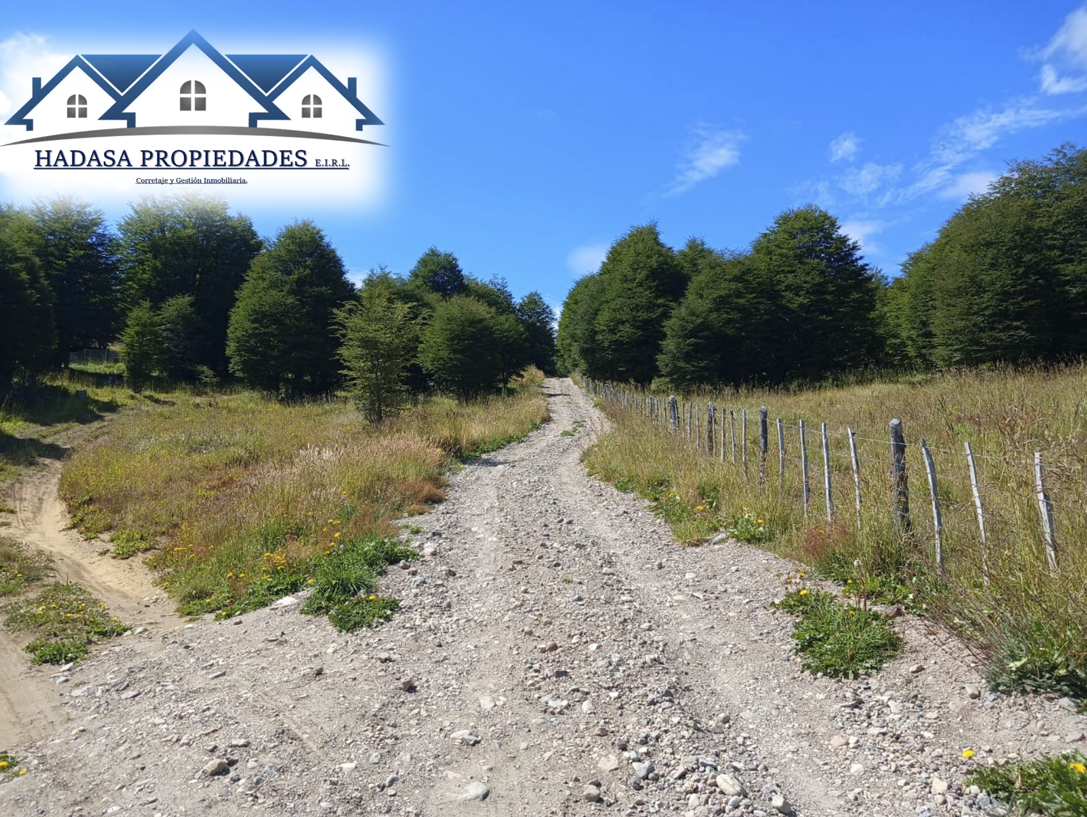 Captura de pantalla 2025-12-11 a la(s) 4.47.42 p.m..png