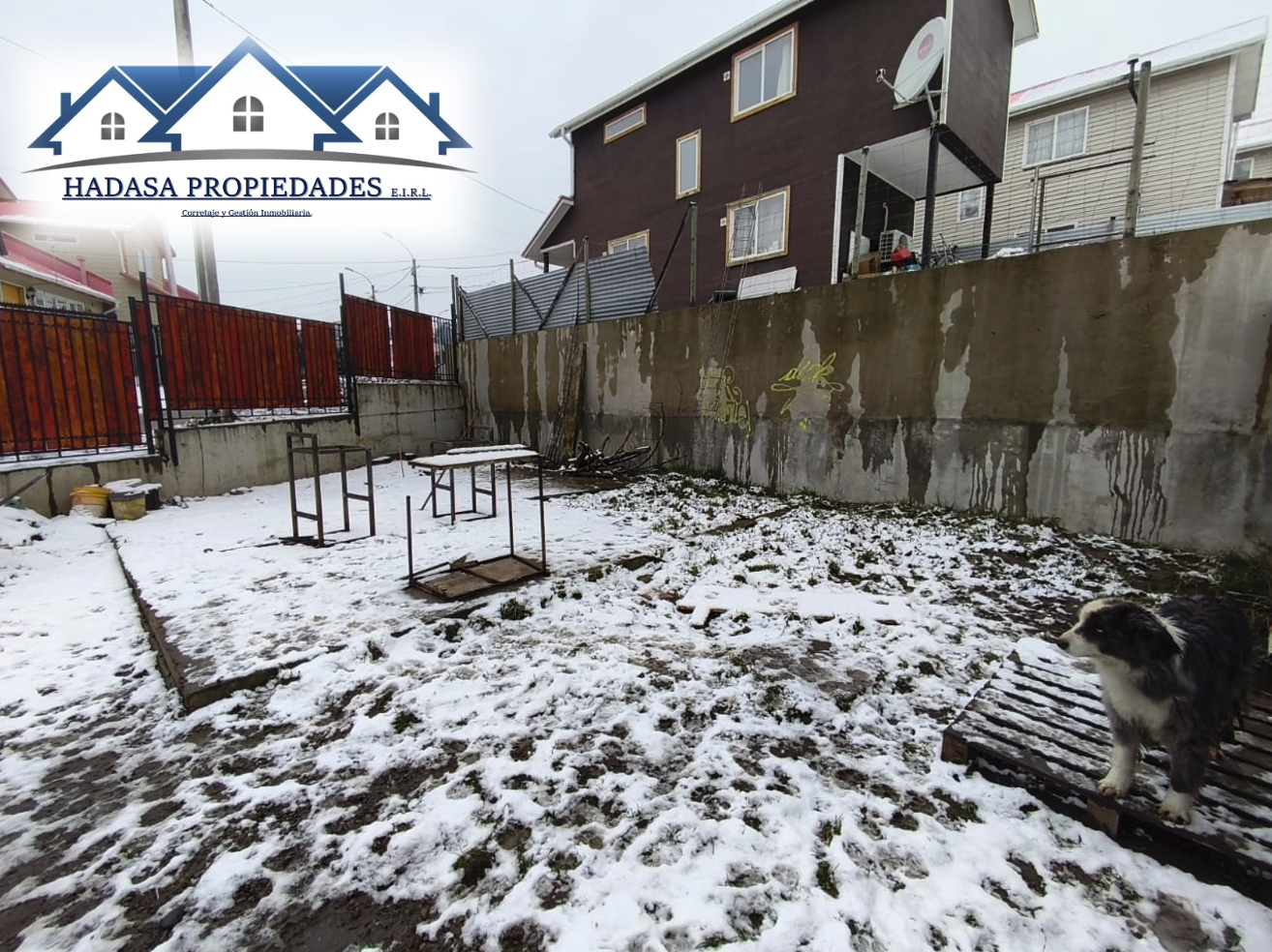 Captura de pantalla 2025-08-04 a la(s) 12.03.23 p.m..png