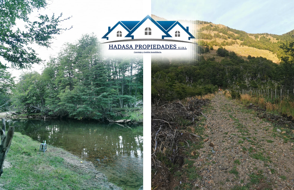 Captura de pantalla 2026-01-25 a la(s) 00.11.26.png