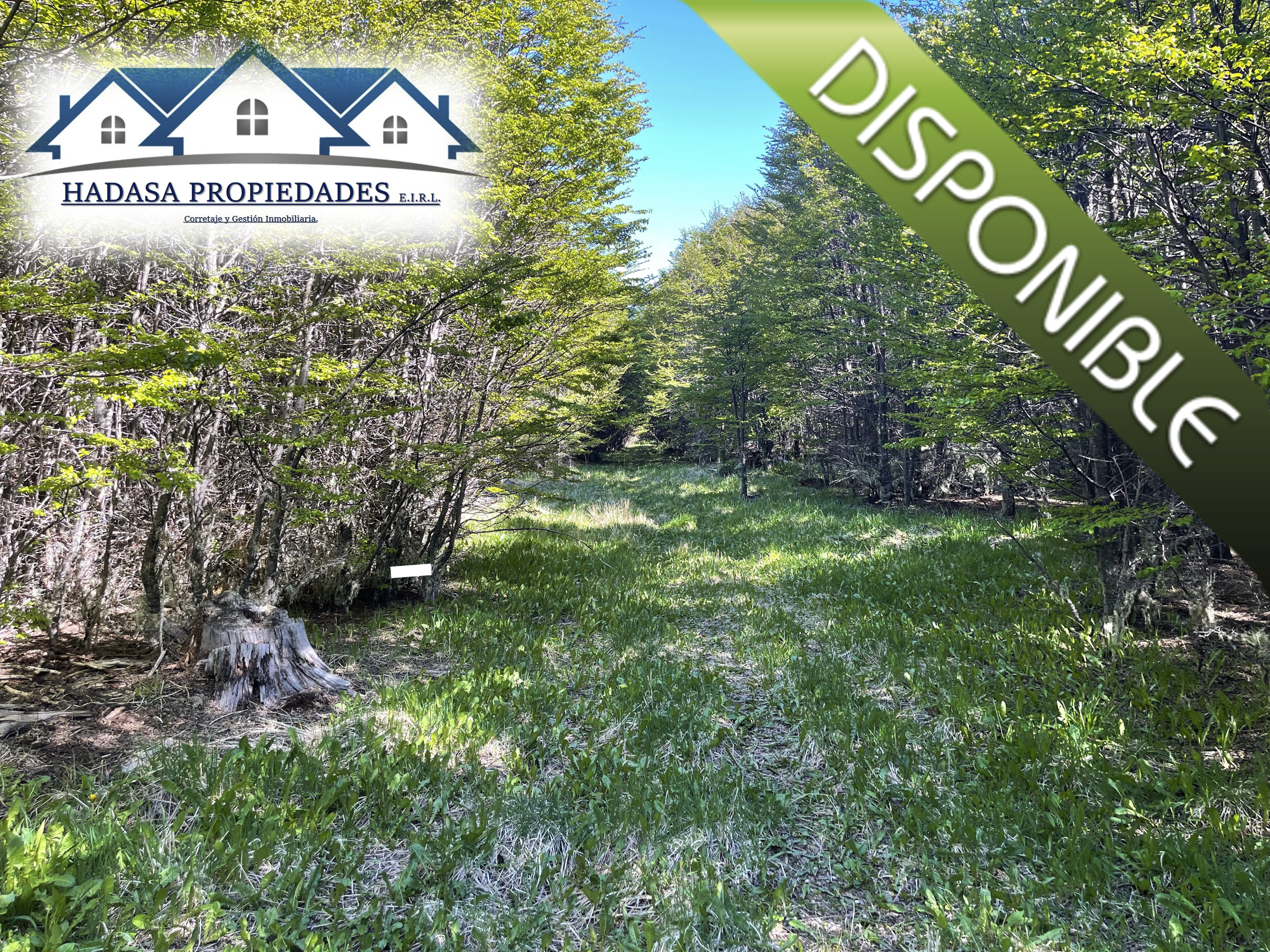 Captura de pantalla 2025-11-27 a la(s) 11.19.05 a.m..png