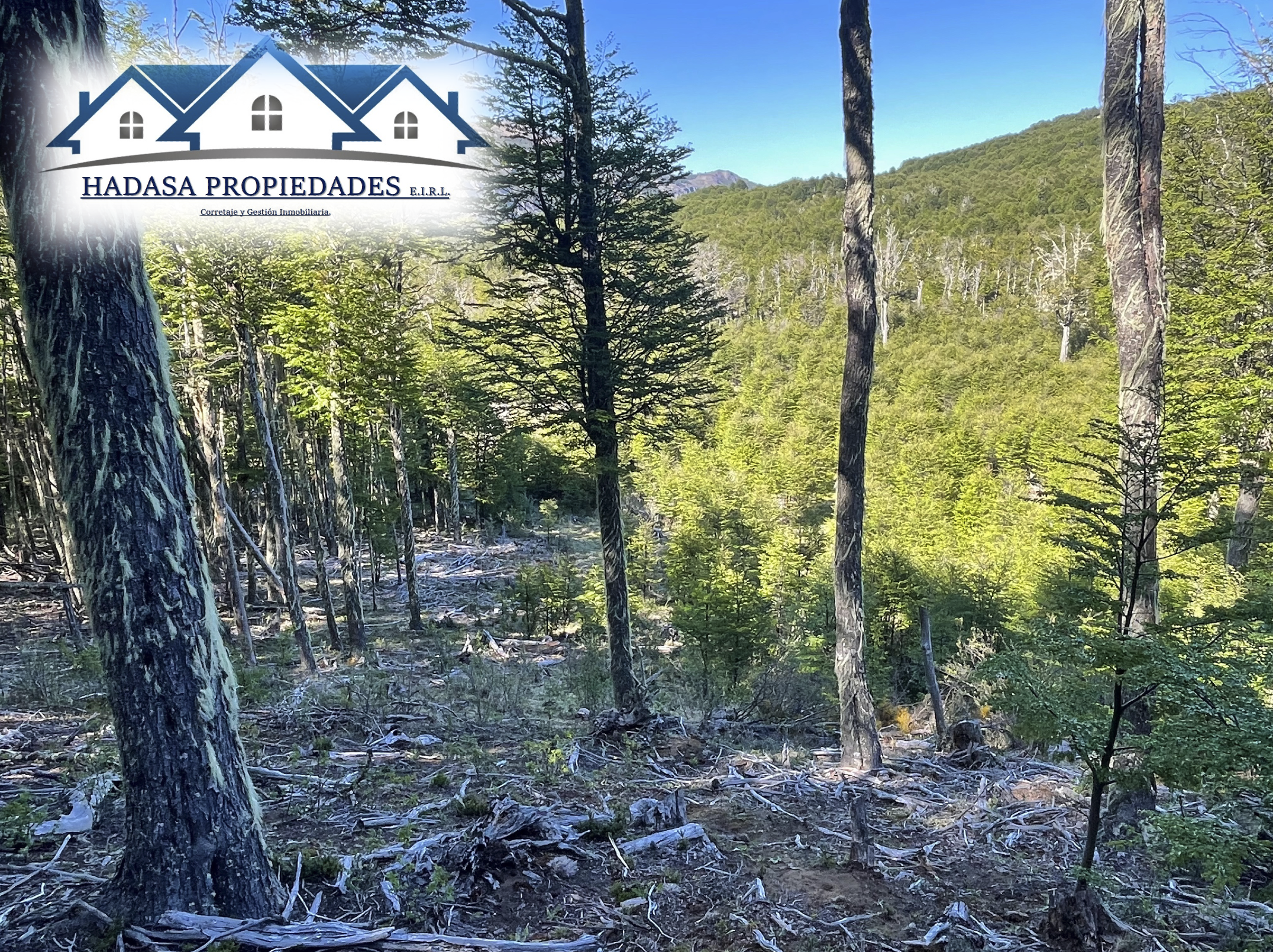 Captura de pantalla 2025-11-27 a la(s) 11.22.18 a.m..png