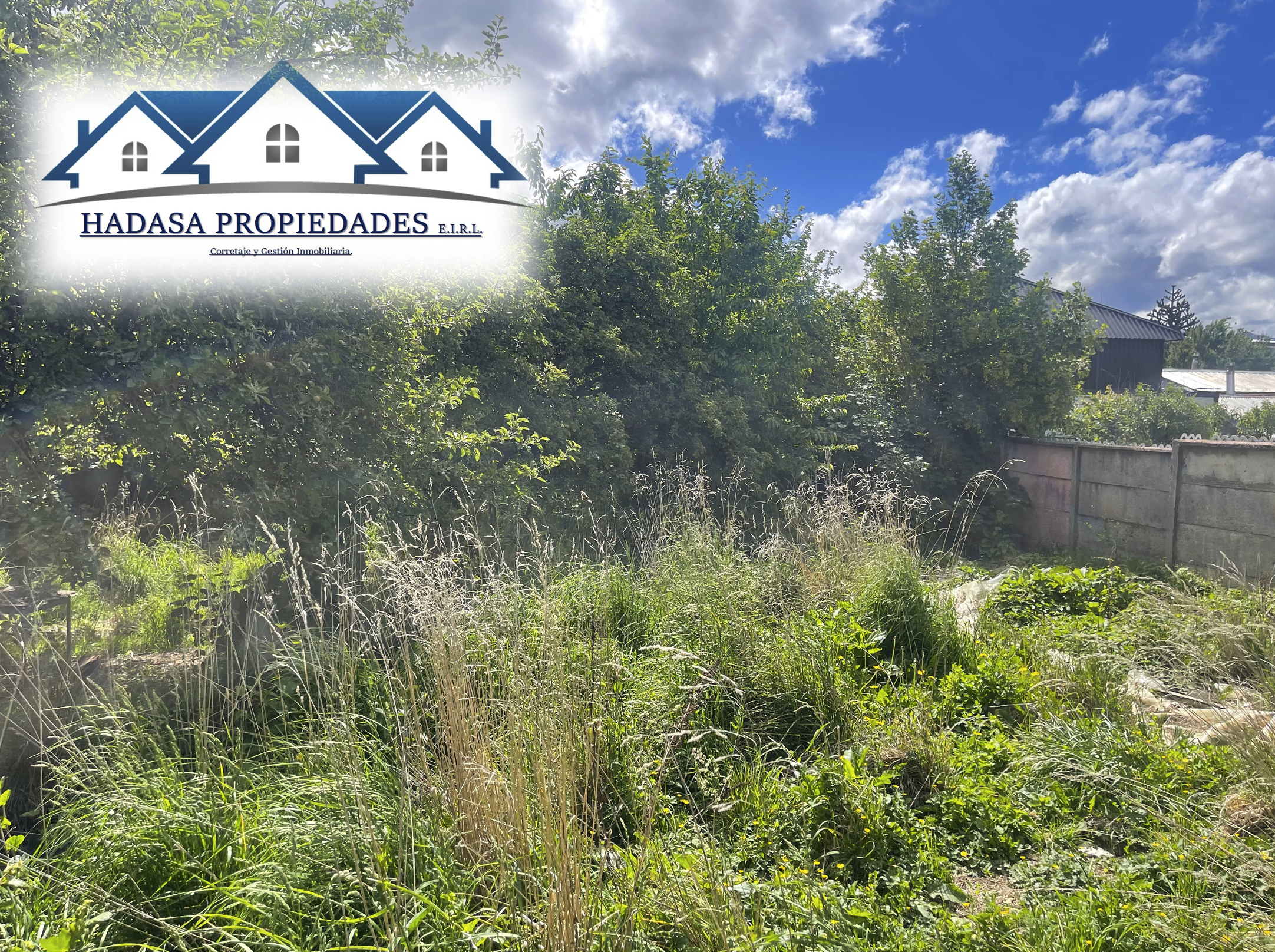 Captura de pantalla 2025-12-03 a la(s) 12.16.38 a.m..png