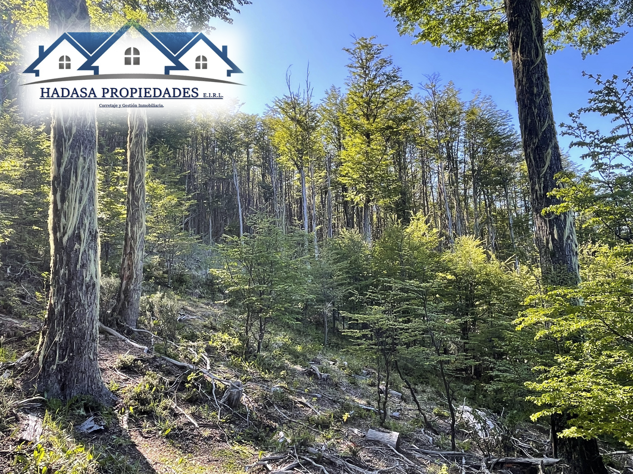 Captura de pantalla 2025-11-27 a la(s) 11.23.12 a.m..png