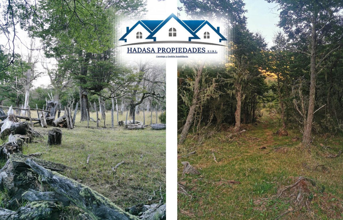 Captura de pantalla 2026-01-25 a la(s) 00.10.35.png