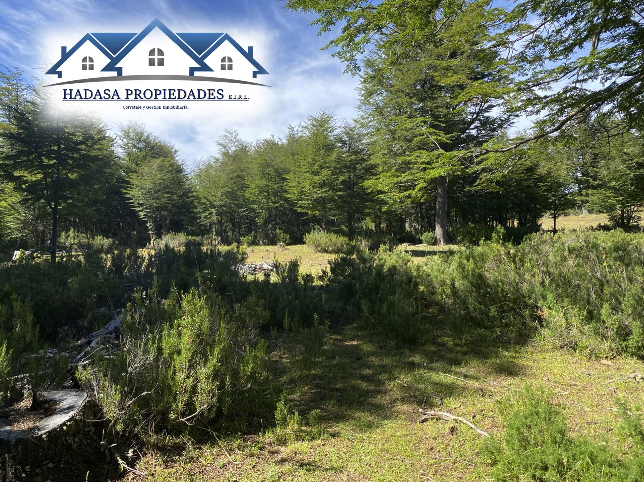 Captura de pantalla 2025-11-27 a la(s) 4.15.36 p.m..png