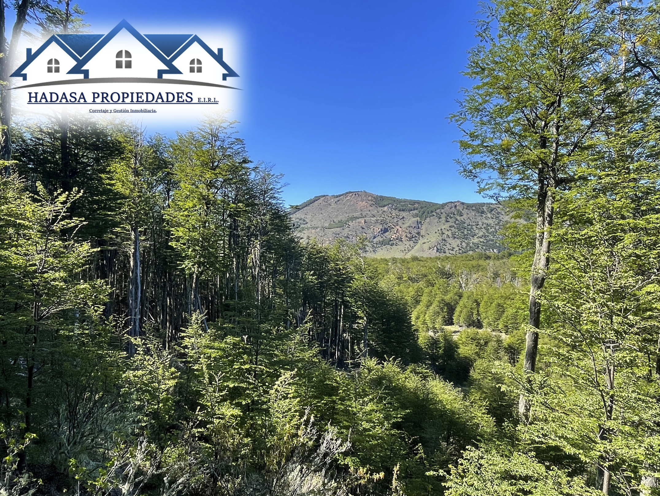 Captura de pantalla 2025-11-27 a la(s) 11.22.52 a.m..png