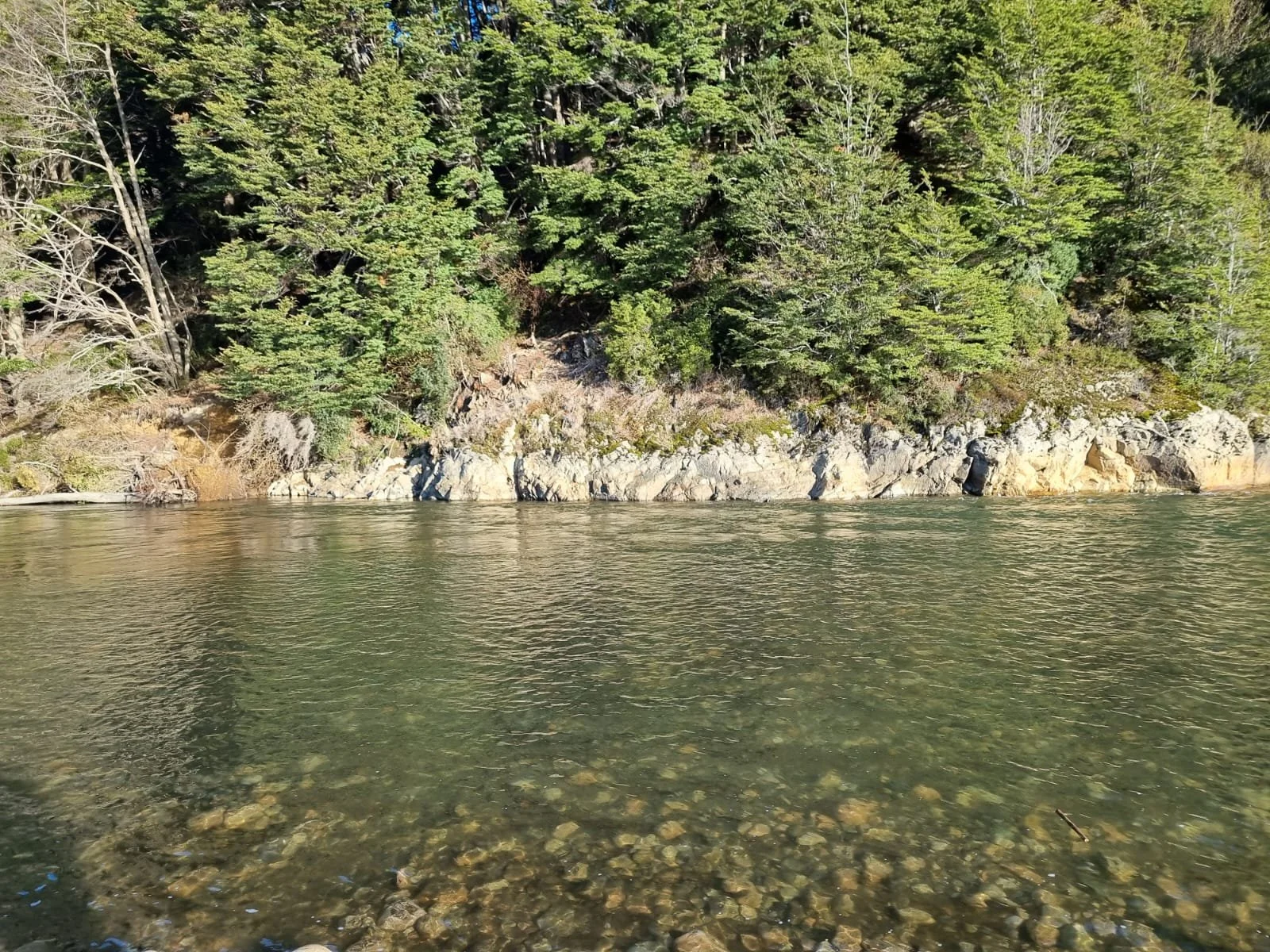 PHOTO-2025-10-27-13-29-25 2.jpg