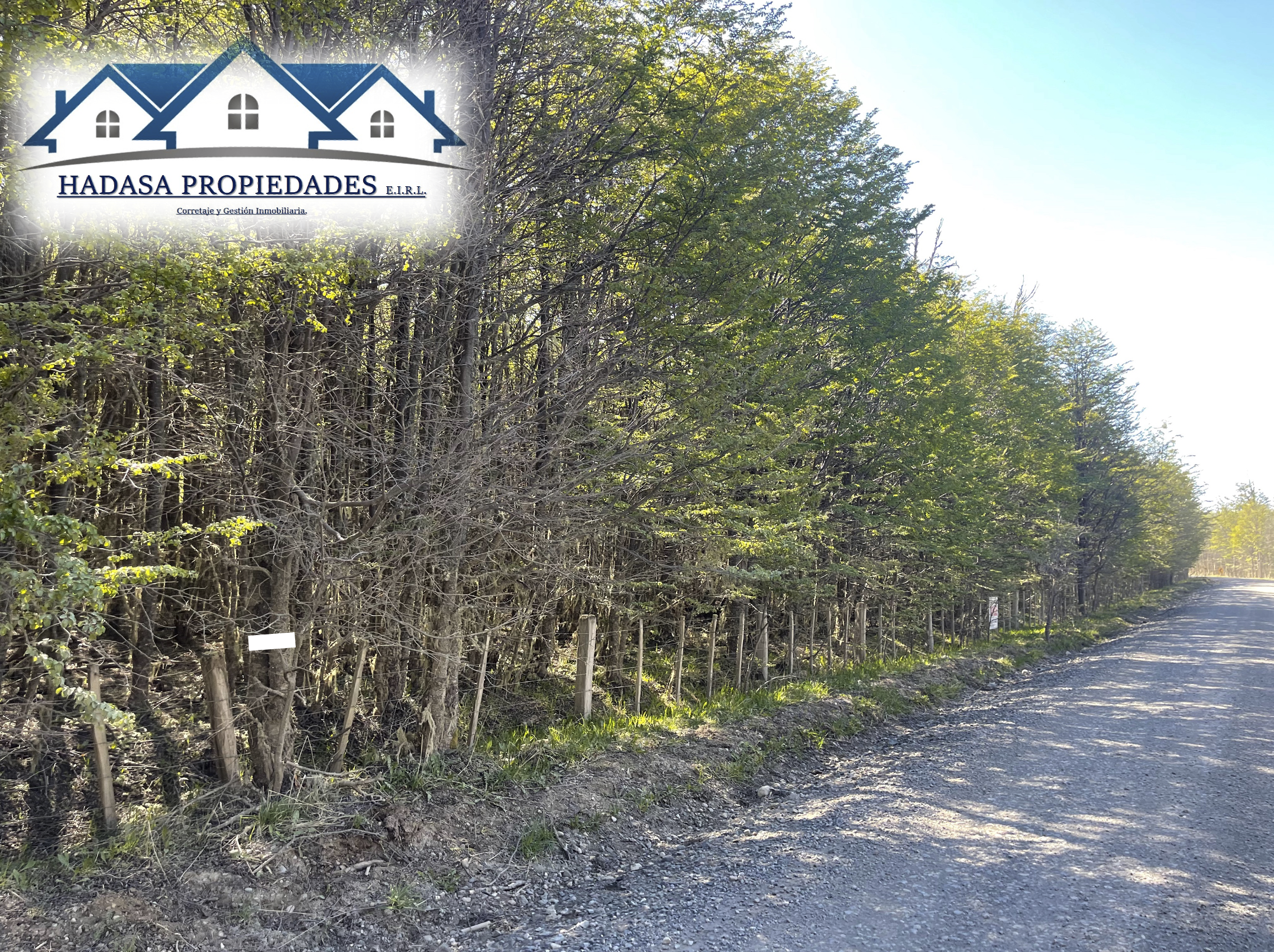 Captura de pantalla 2025-11-27 a la(s) 11.21.18 a.m..png