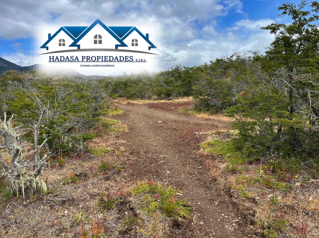 Captura de pantalla 2026-01-24 a la(s) 20.28.49.png