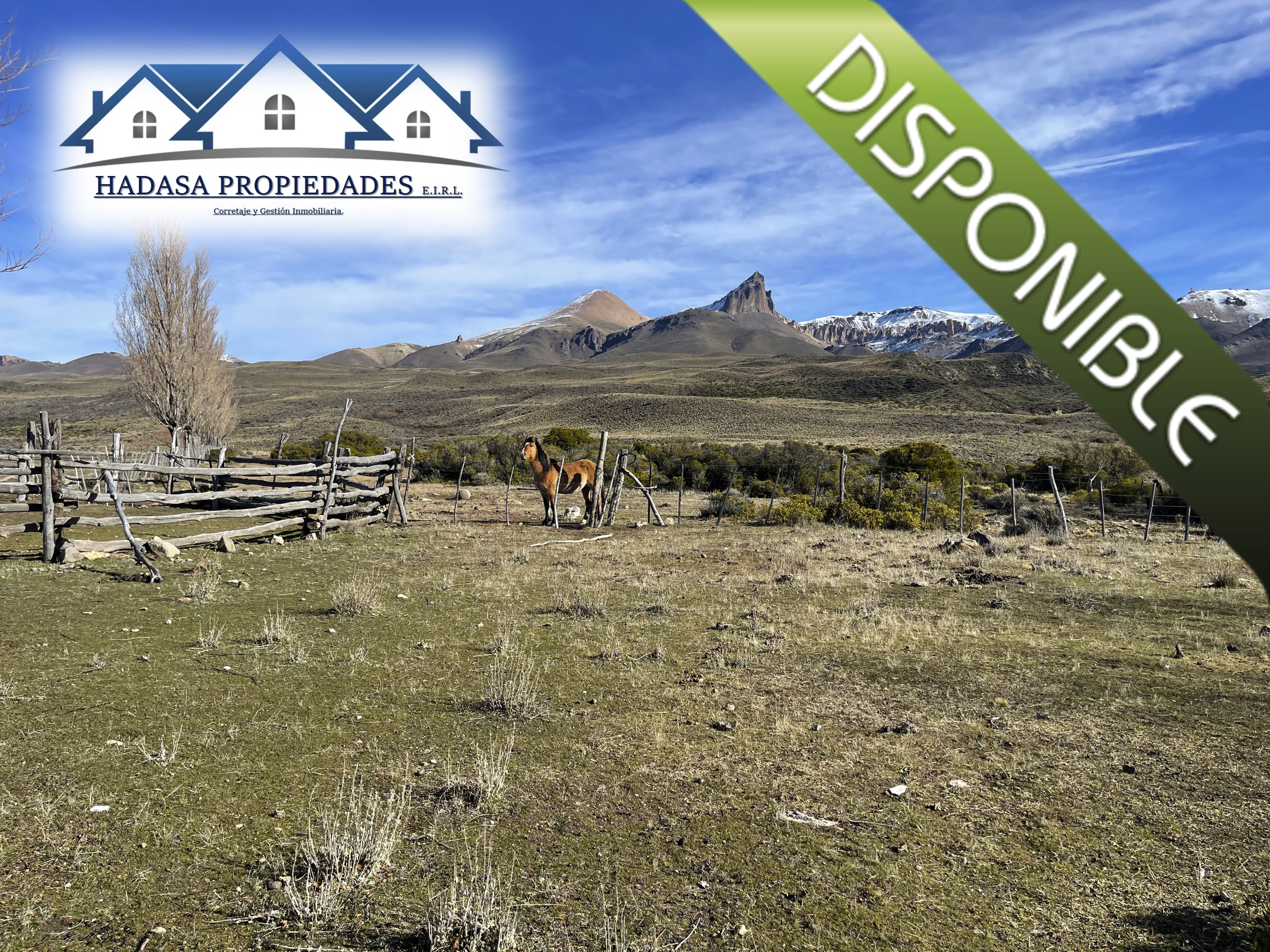 Captura de pantalla 2025-11-27 a la(s) 5.07.15 p.m..png