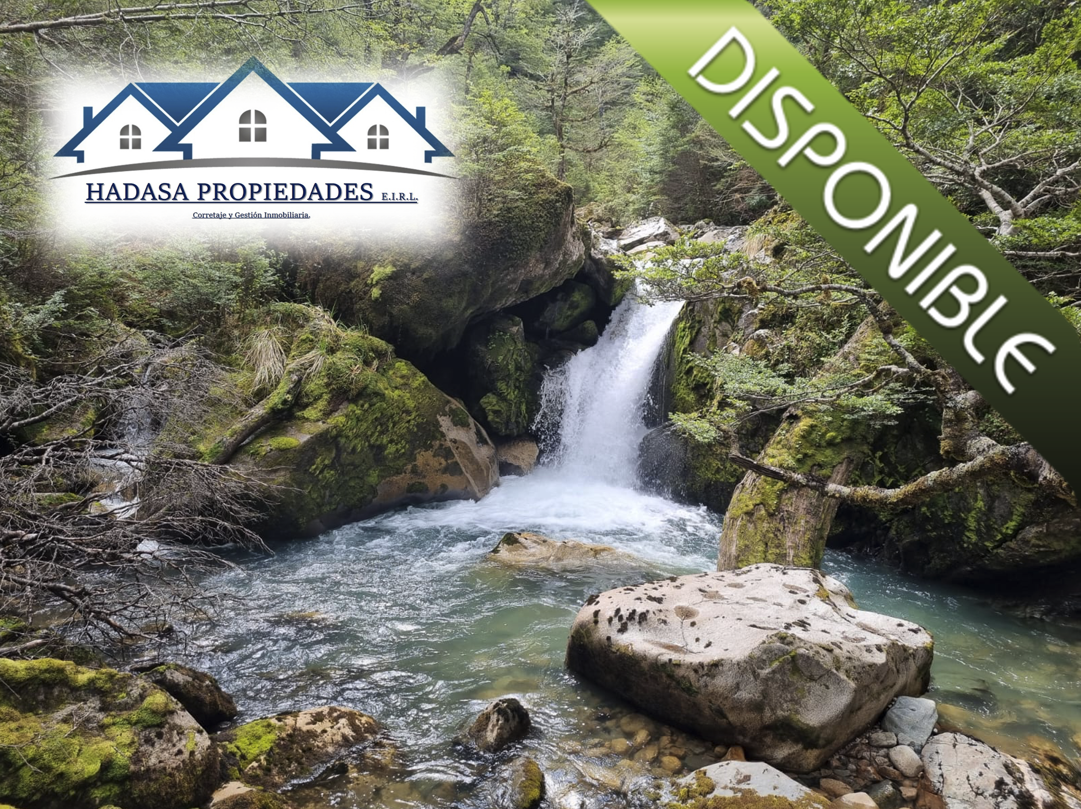 Captura de pantalla 2025-11-27 a la(s) 4.34.33 p.m..png