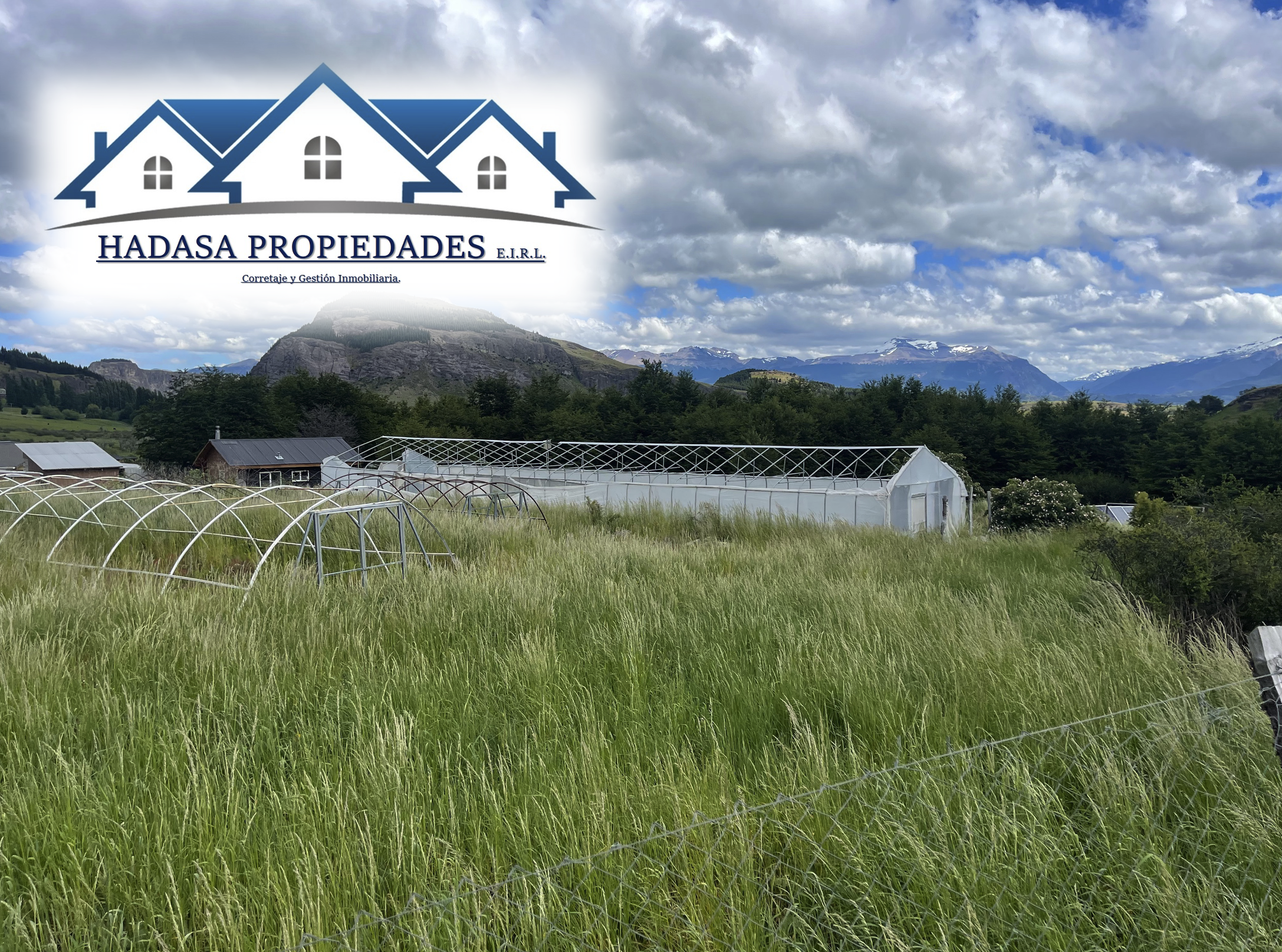 Captura de pantalla 2025-12-03 a la(s) 12.08.35 a.m..png