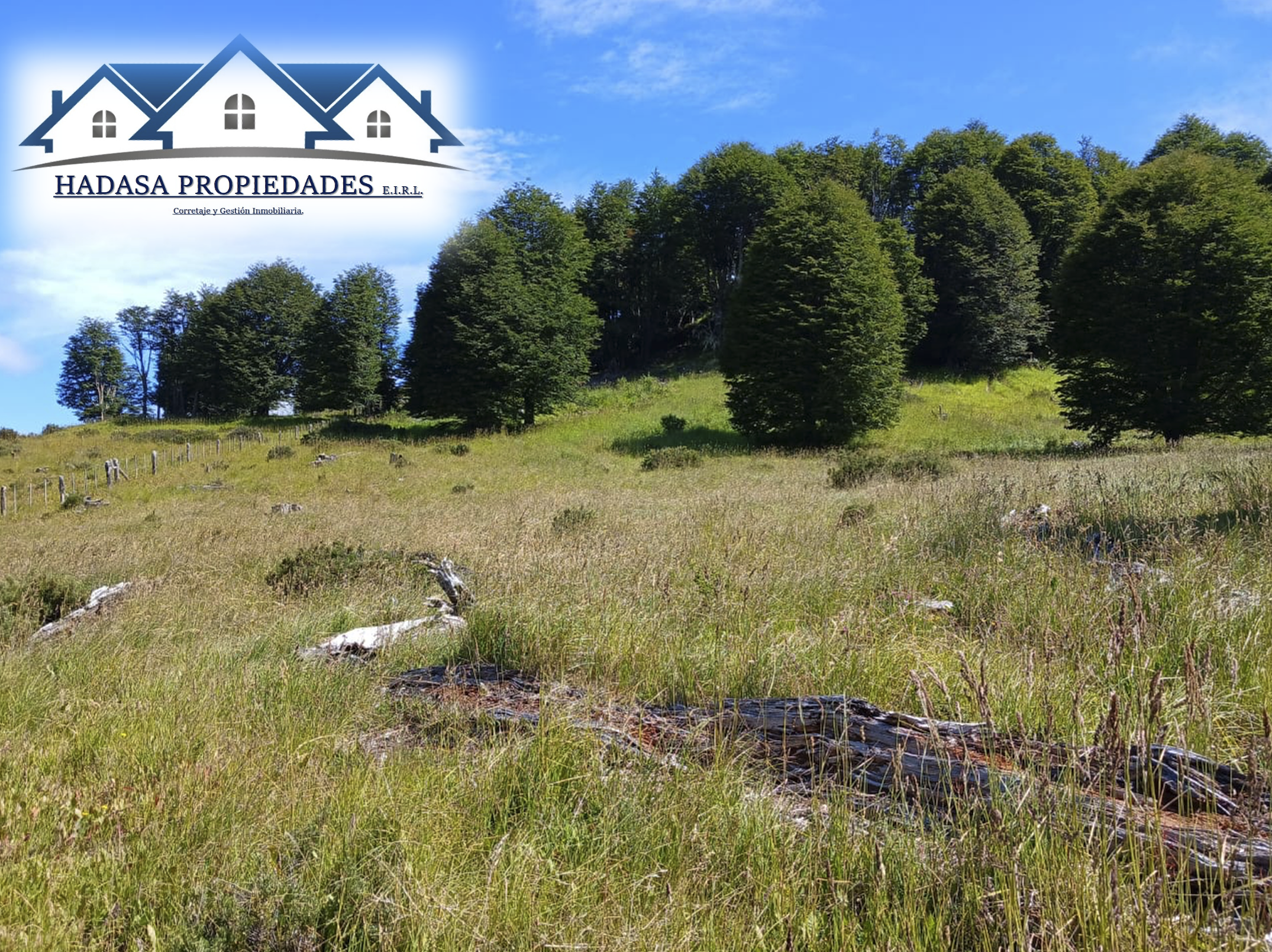 Captura de pantalla 2025-12-11 a la(s) 4.46.58 p.m..png