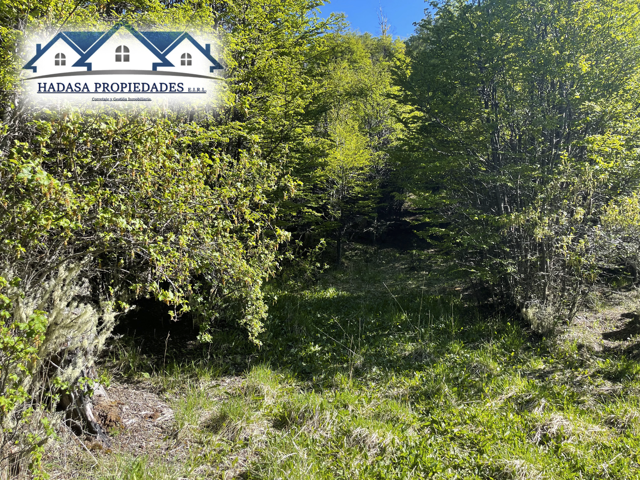 Captura de pantalla 2025-11-27 a la(s) 11.19.28 a.m..png