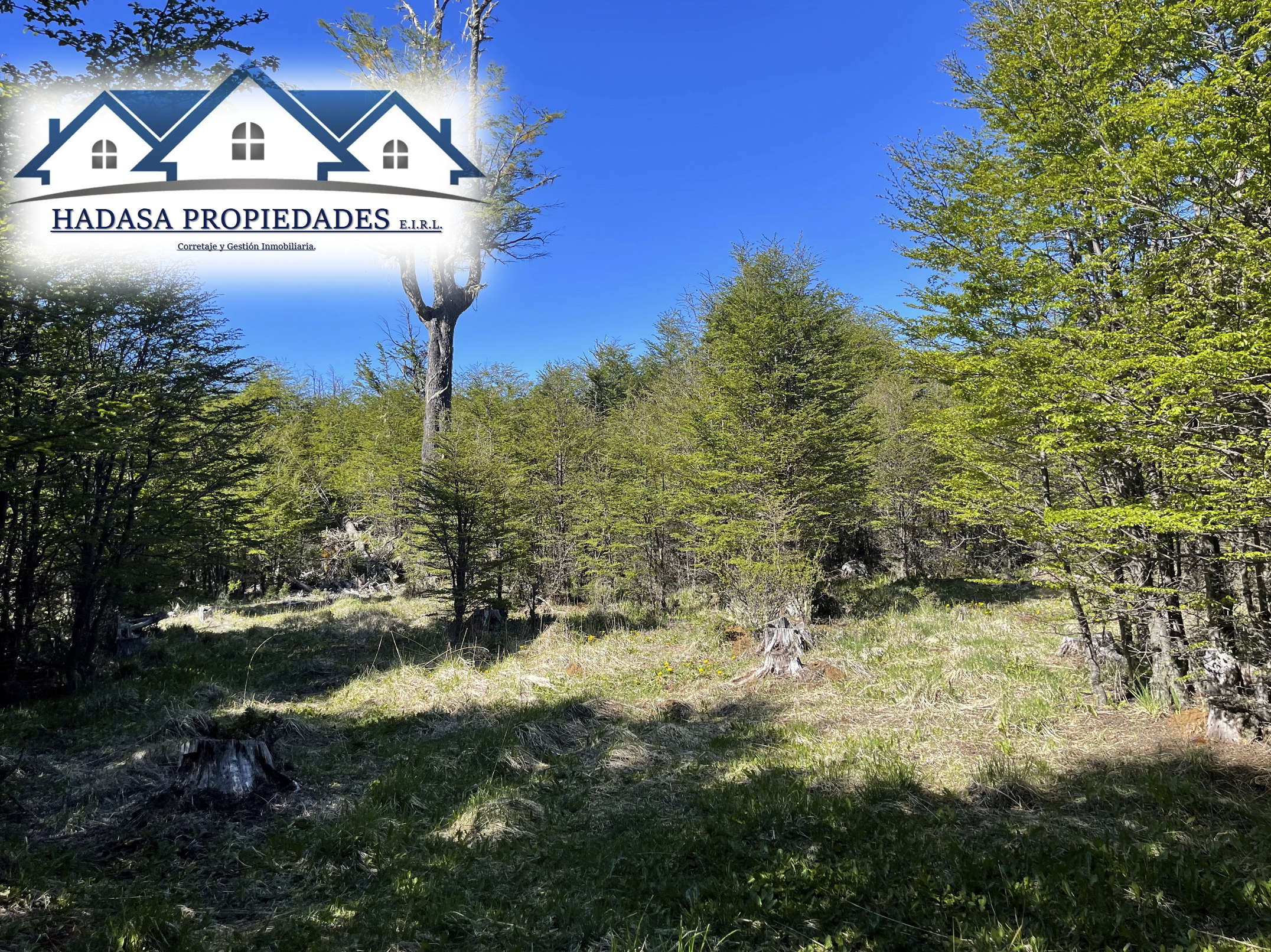 Captura de pantalla 2025-11-27 a la(s) 11.19.59 a.m..png