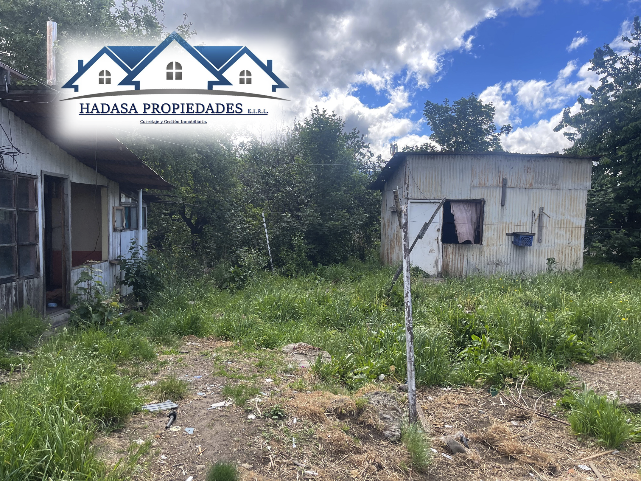 Captura de pantalla 2025-12-03 a la(s) 12.18.04 a.m..png