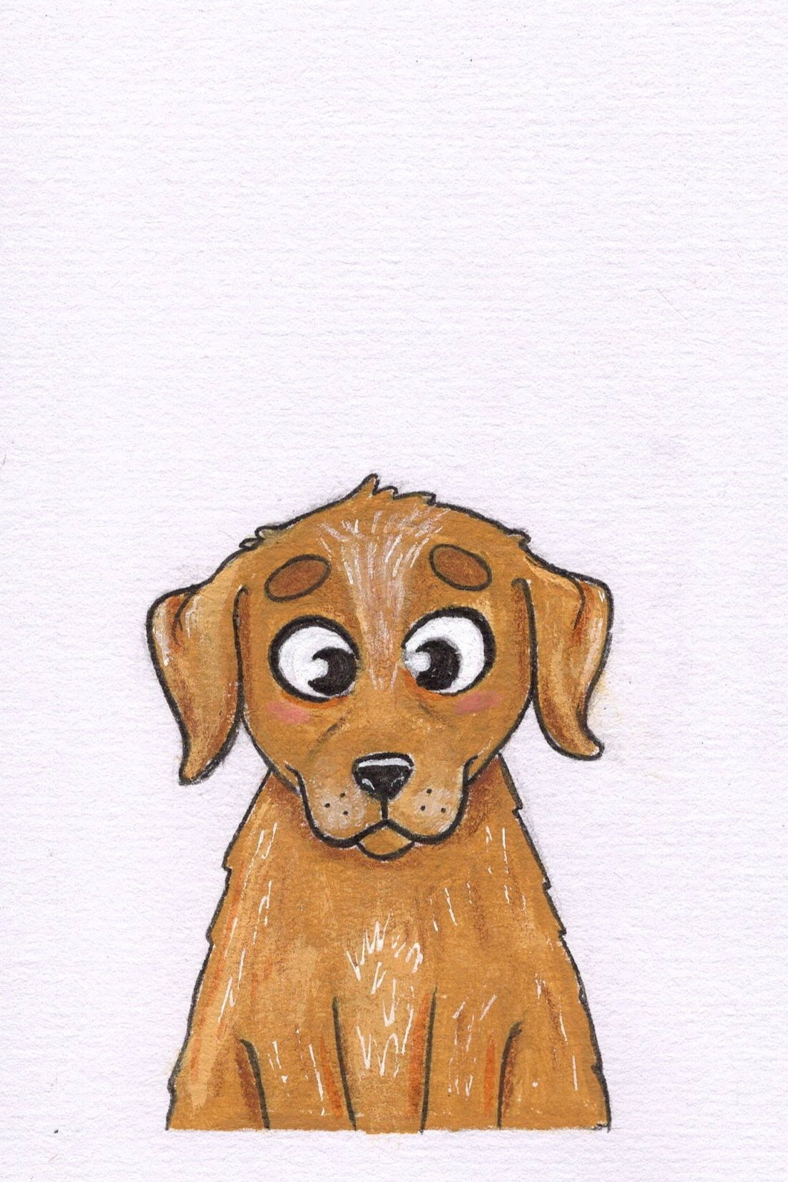 dog+scan.jpg
