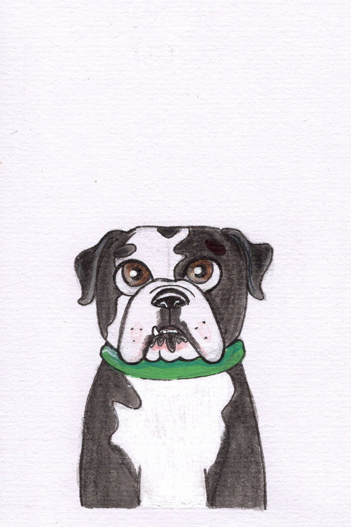 dog+scan+4.jpg