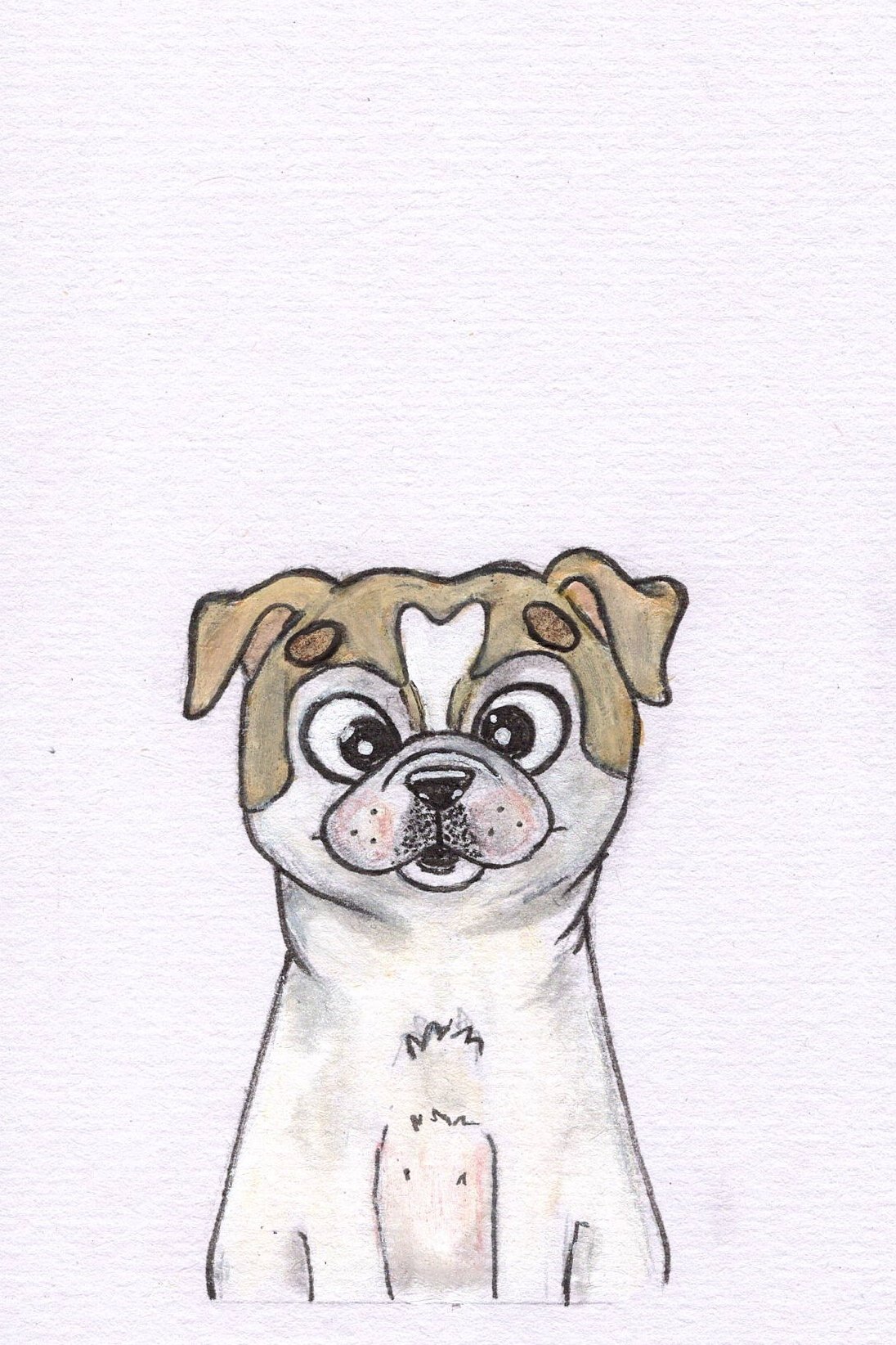 dog+scan+1.jpg