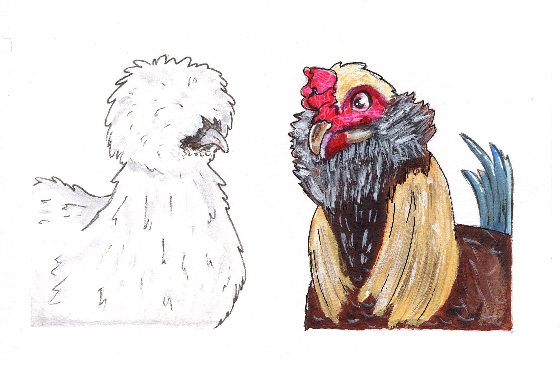 chickens scan.jpeg