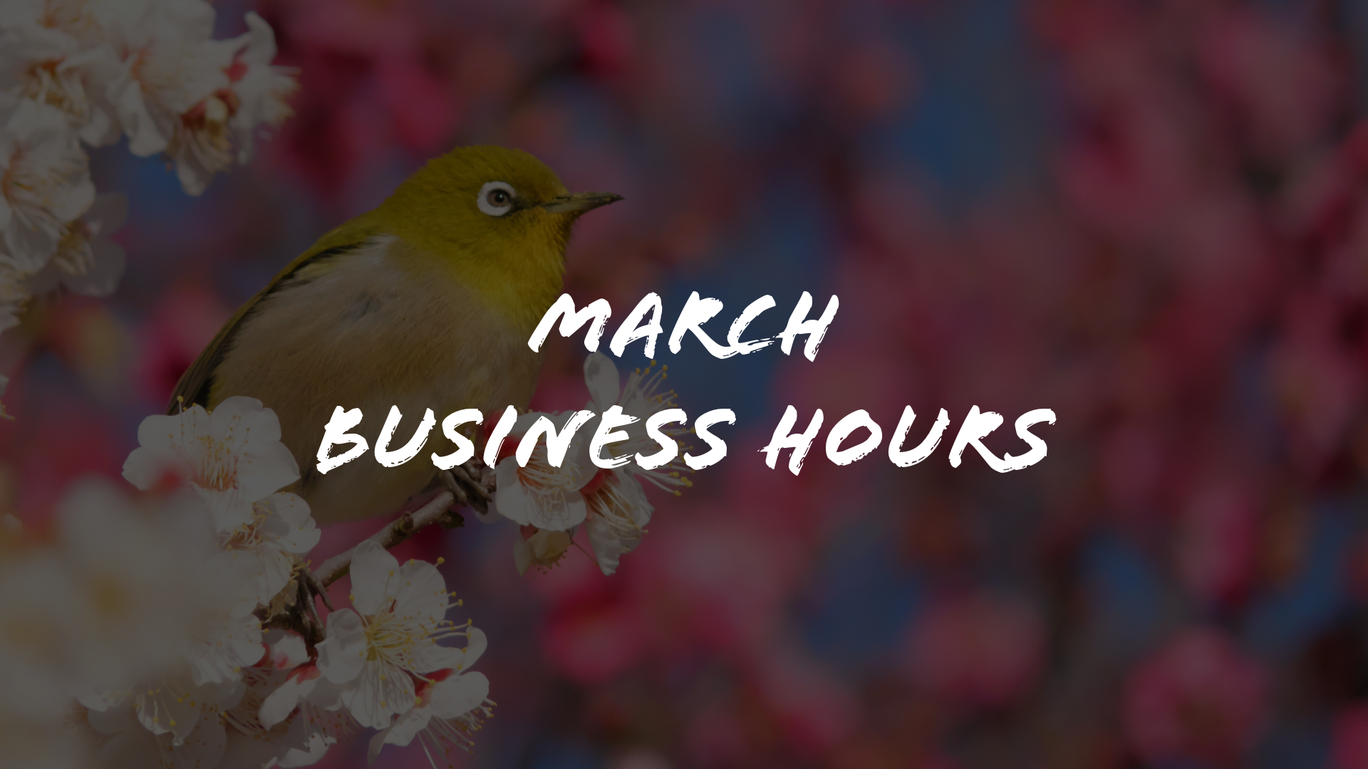 March Business Hours