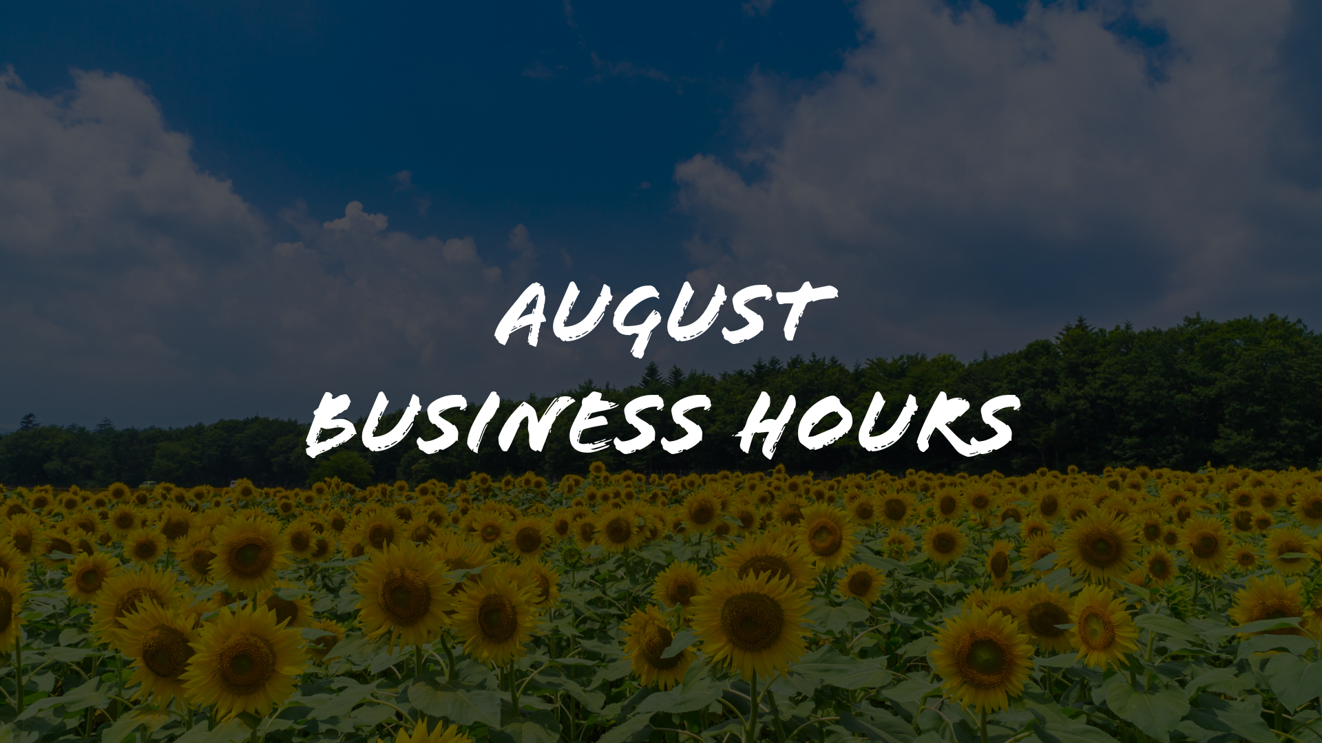 August Business Hours