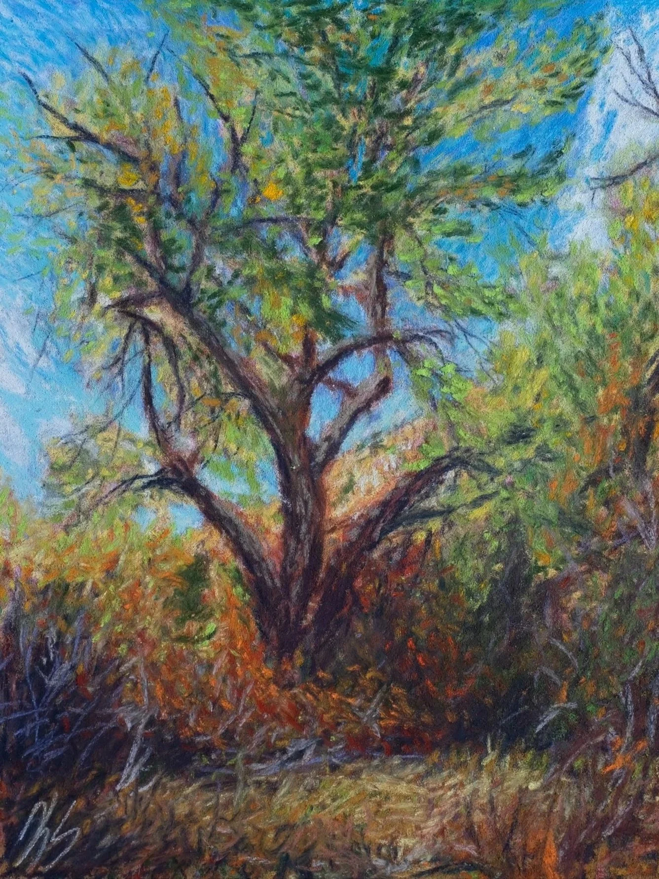 Golden Eldest of Chimney Hollow - 8x10 - Private Collection