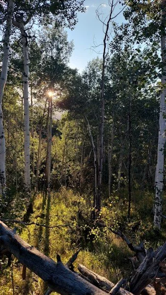 Georgetown Plein Air 2026